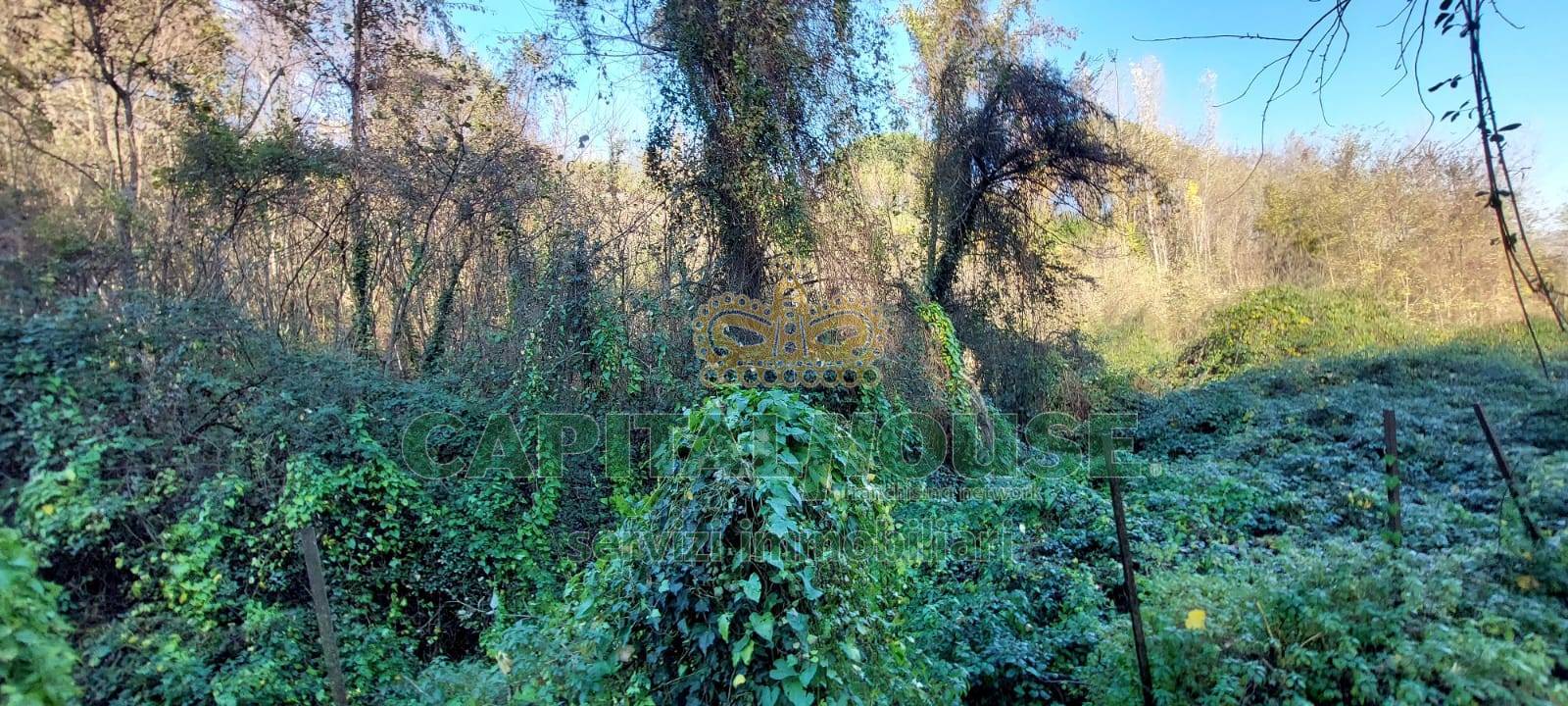 Terreno agricolo in vendita a Ottaviano