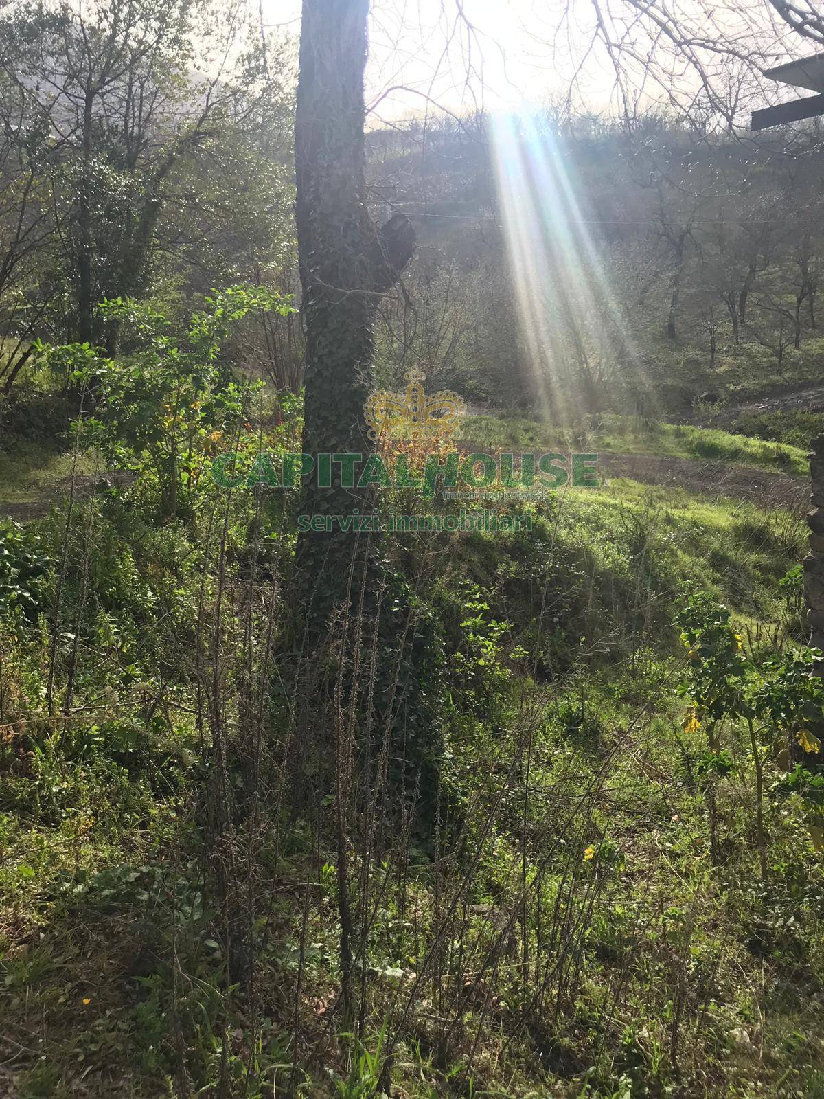 S.Indipendente in vendita a Somma Vesuviana