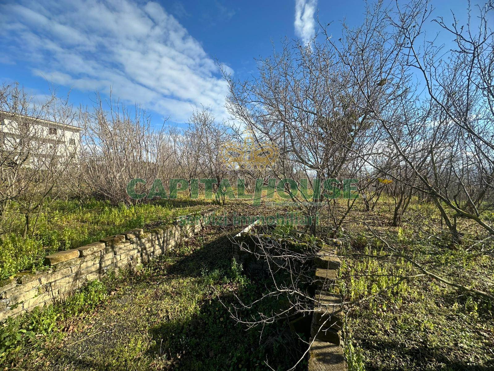Terreno agricolo in vendita a Terzigno