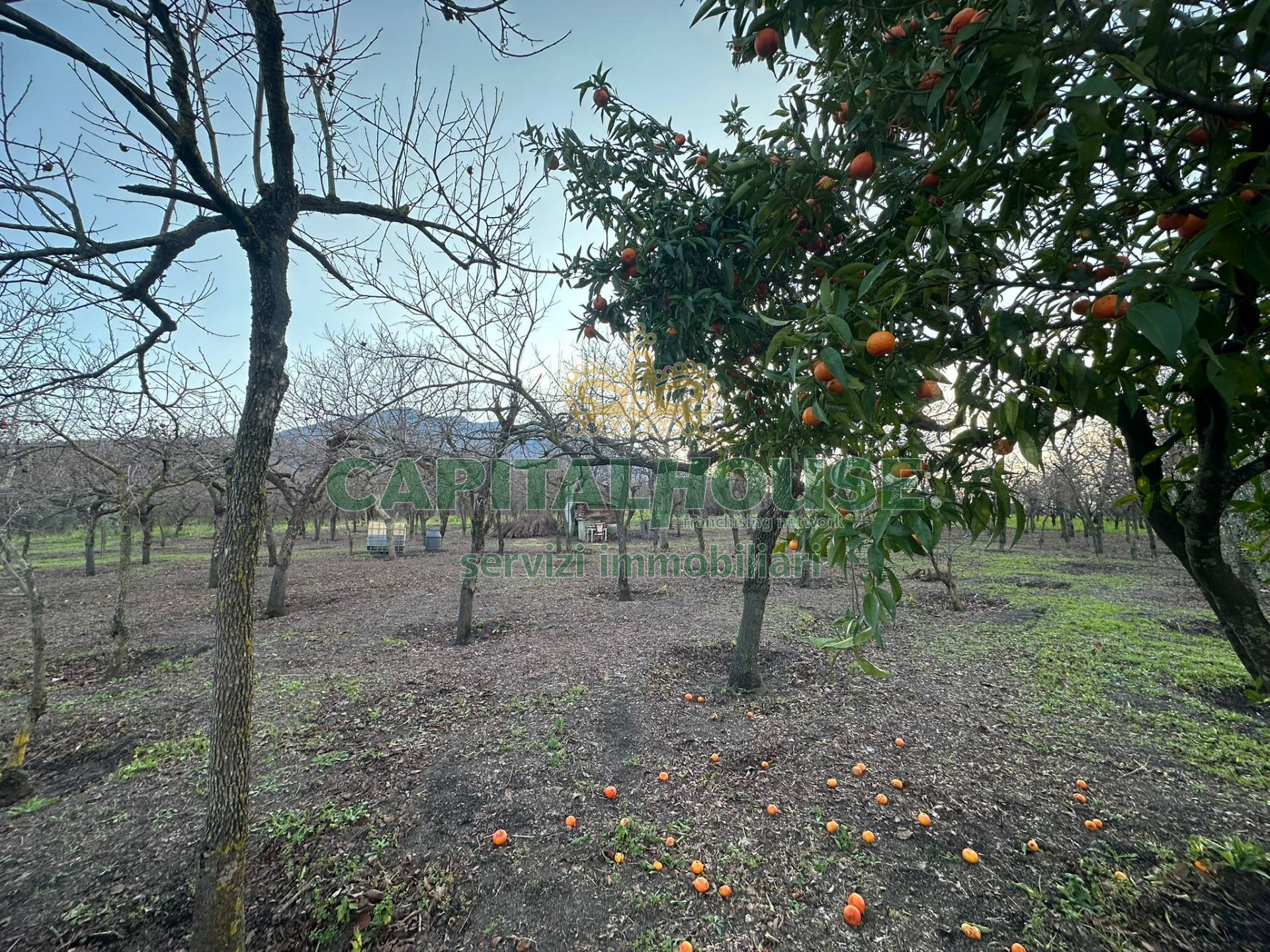Terreno agricolo in vendita a Somma Vesuviana