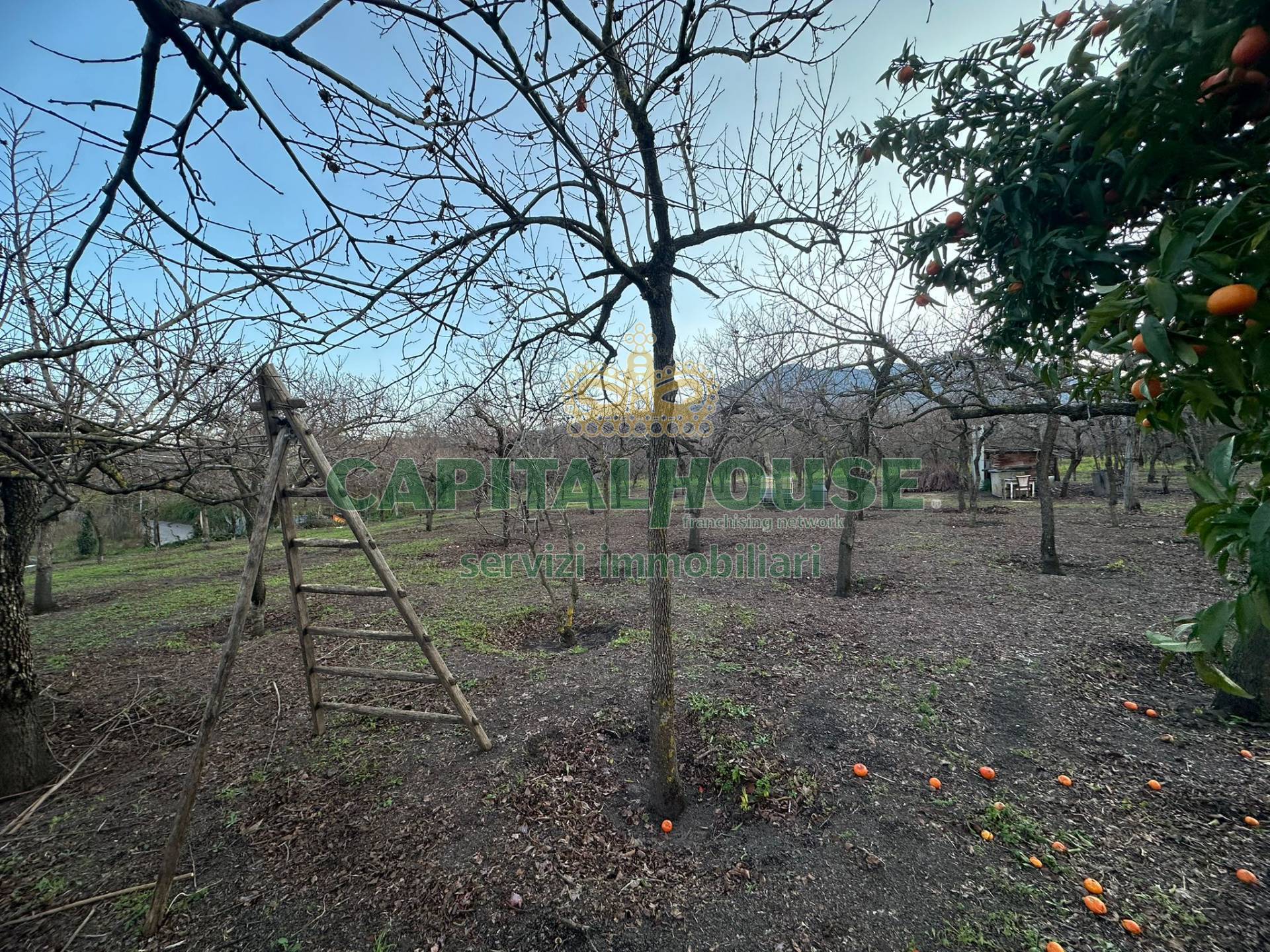 Terreno agricolo in vendita a Somma Vesuviana