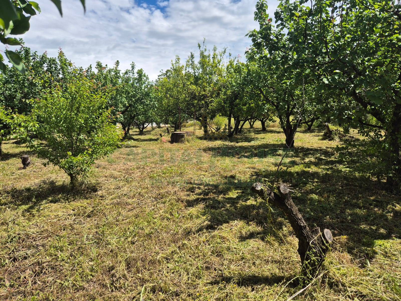 Terreno agricolo in vendita a Somma Vesuviana
