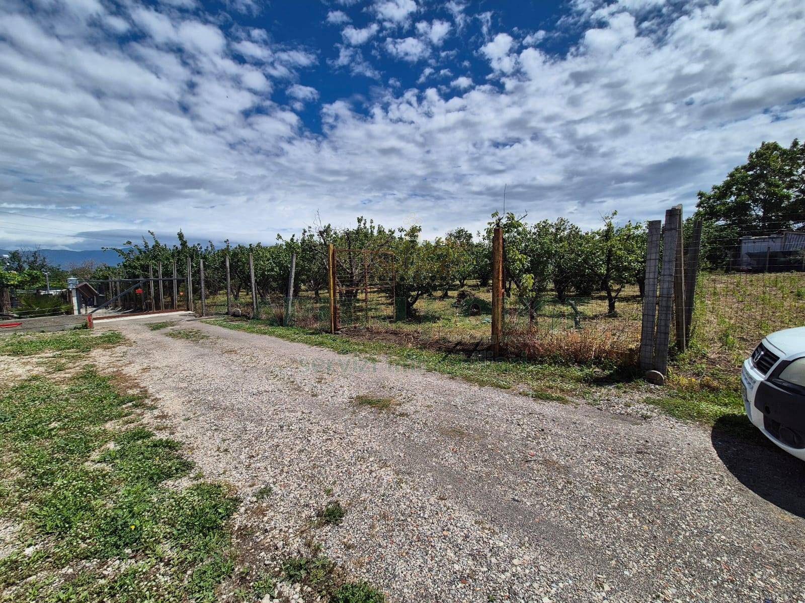 Terreno agricolo in vendita a Somma Vesuviana