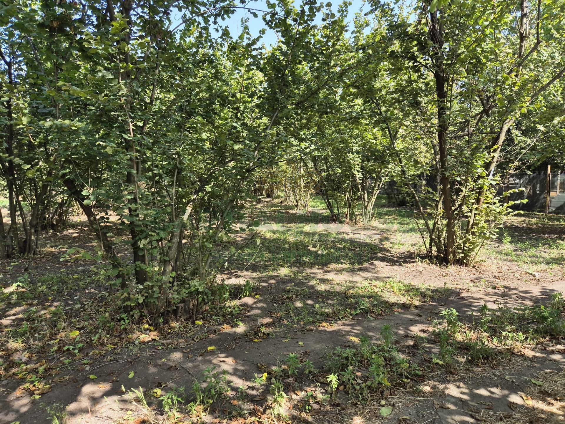 Terreno agricolo in vendita a Terzigno