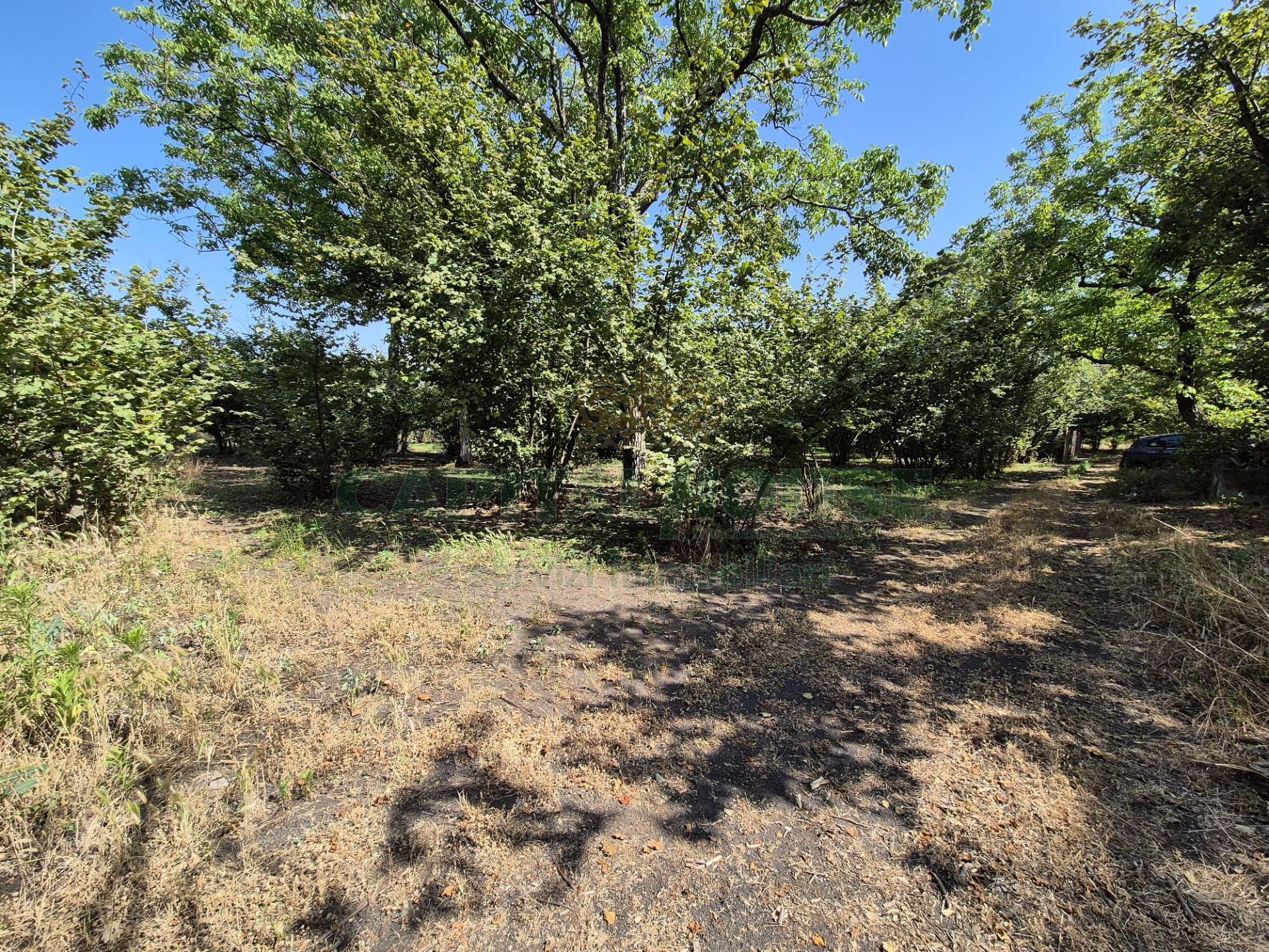 Terreno agricolo in vendita a Terzigno