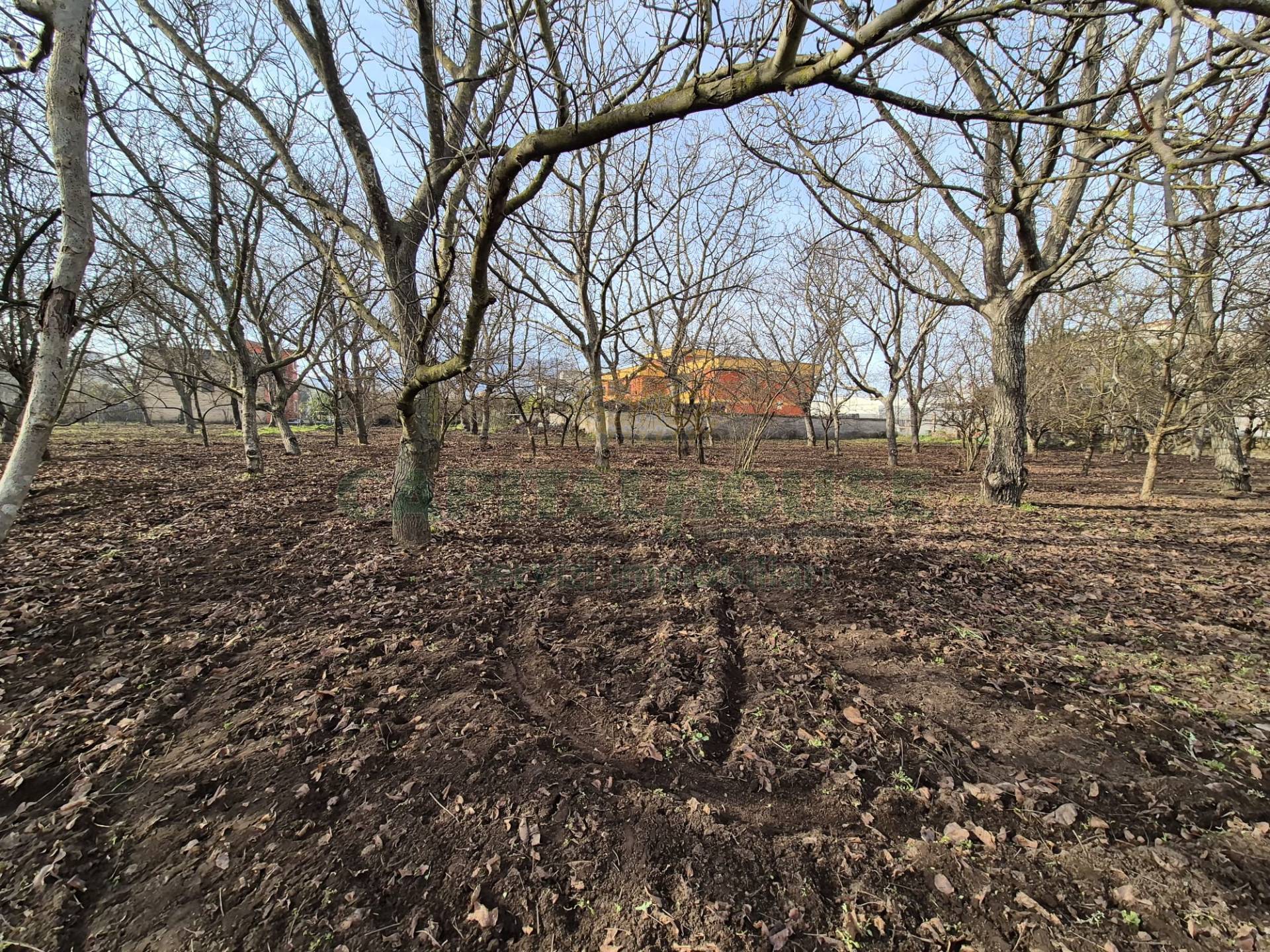 Terreno agricolo in vendita a San Gennaro Vesuviano