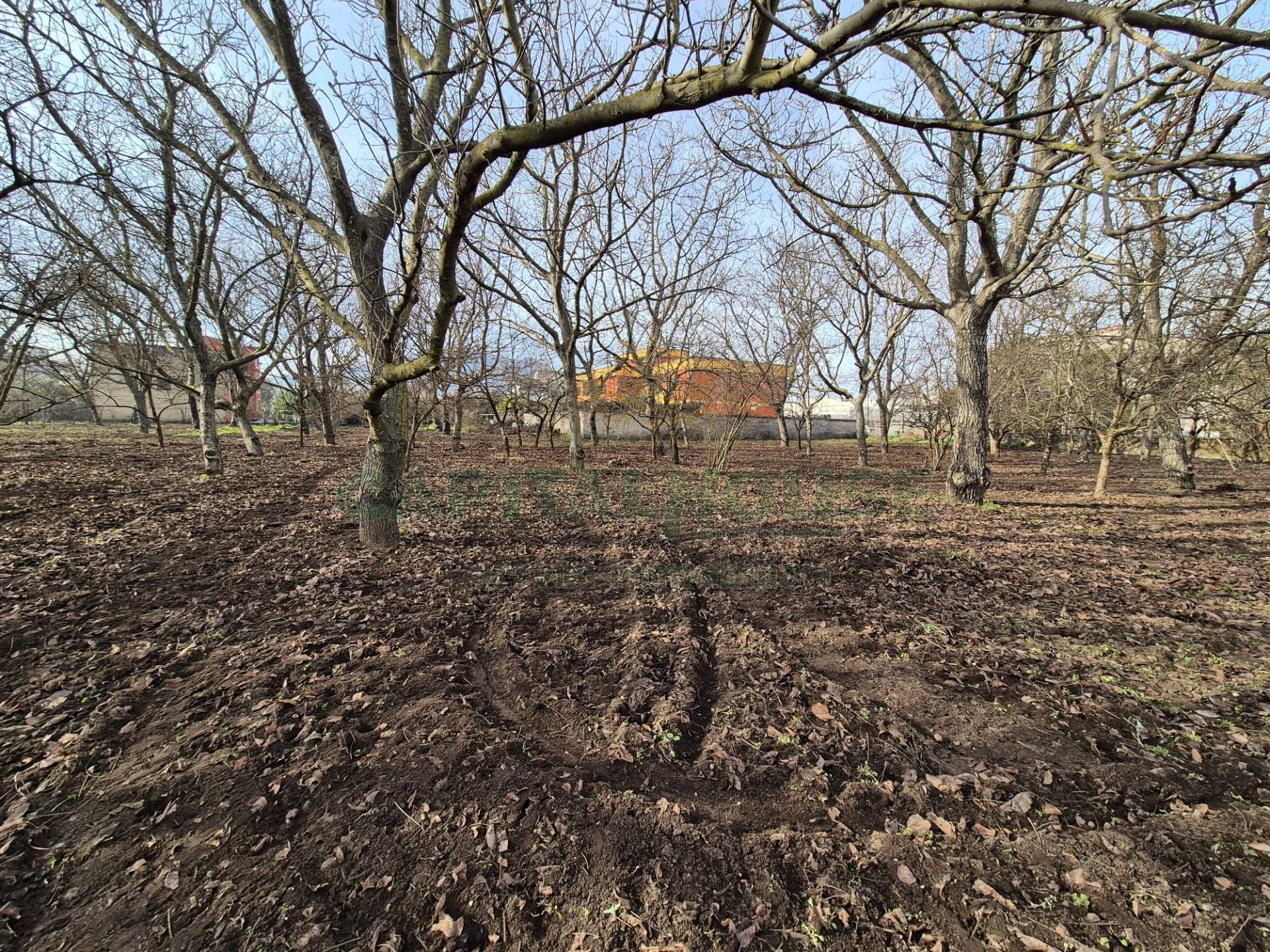 Terreno agricolo in vendita a San Gennaro Vesuviano