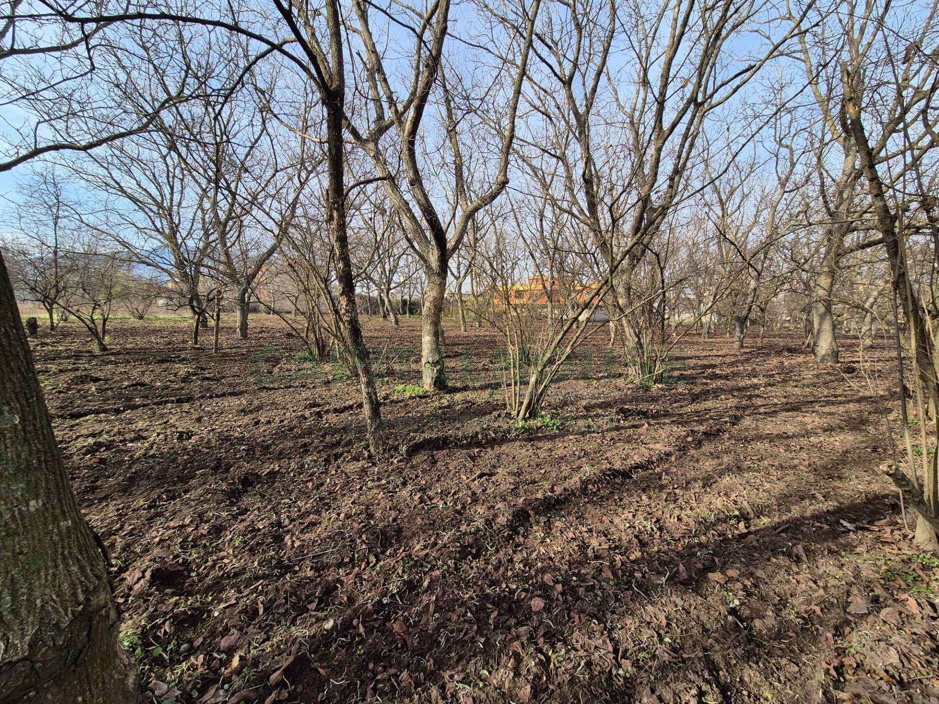 Terreno agricolo in vendita a San Gennaro Vesuviano