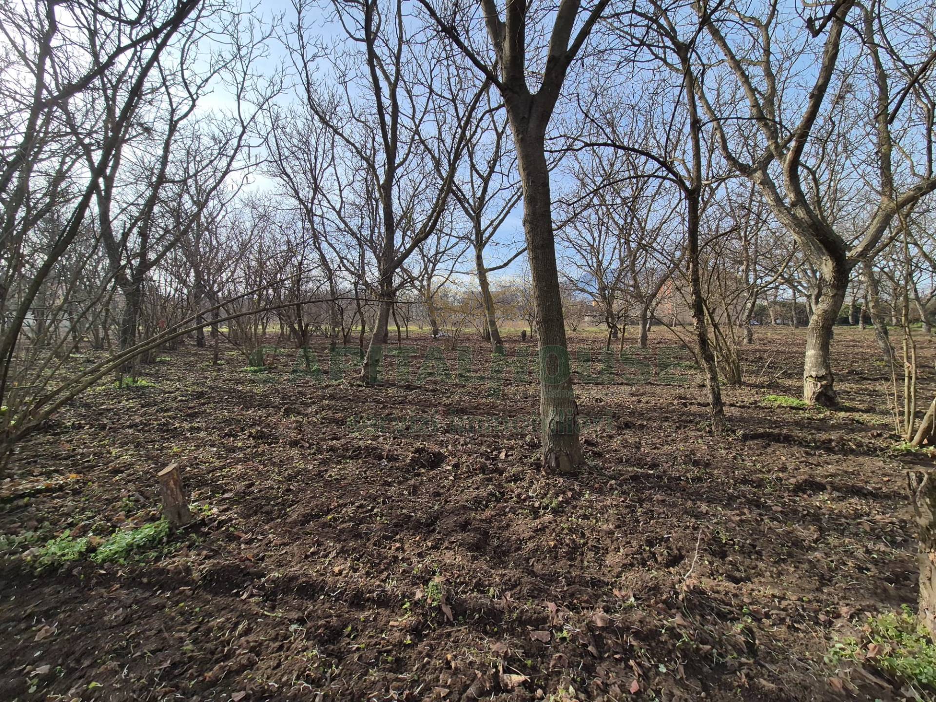 Terreno agricolo in vendita a San Gennaro Vesuviano