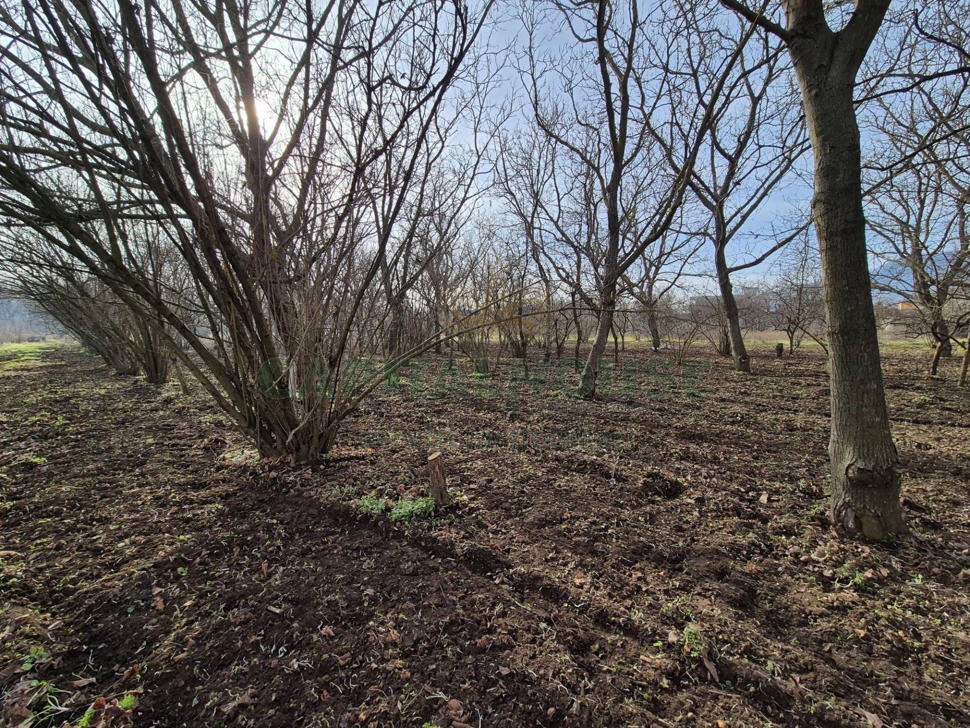 Terreno agricolo in vendita a San Gennaro Vesuviano