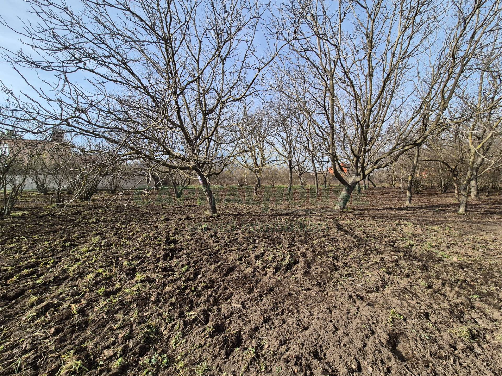 Terreno agricolo in vendita a San Gennaro Vesuviano