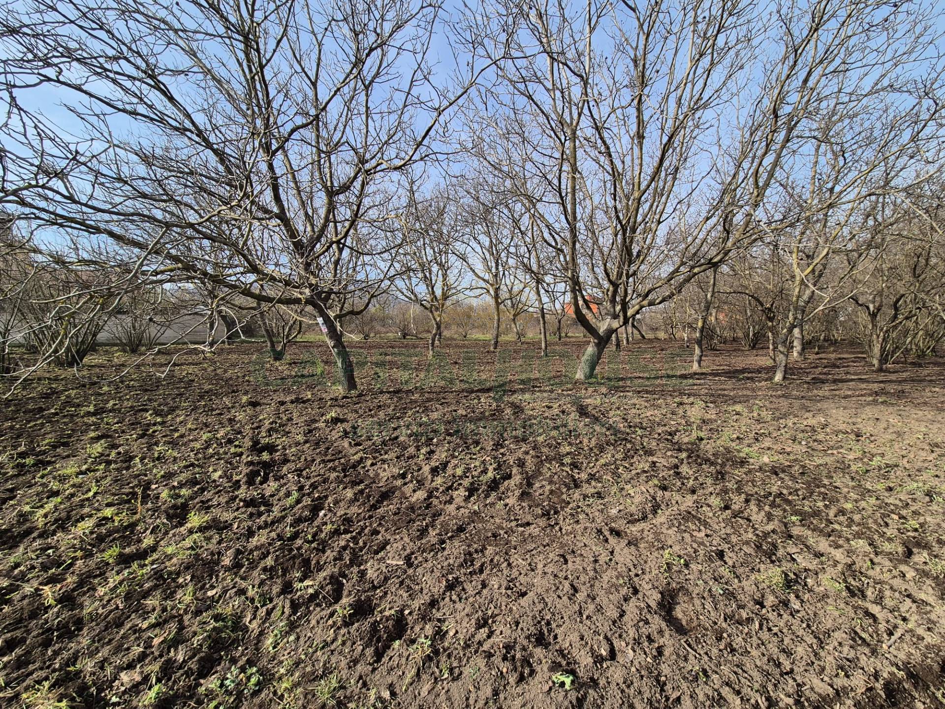 Terreno agricolo in vendita a San Gennaro Vesuviano
