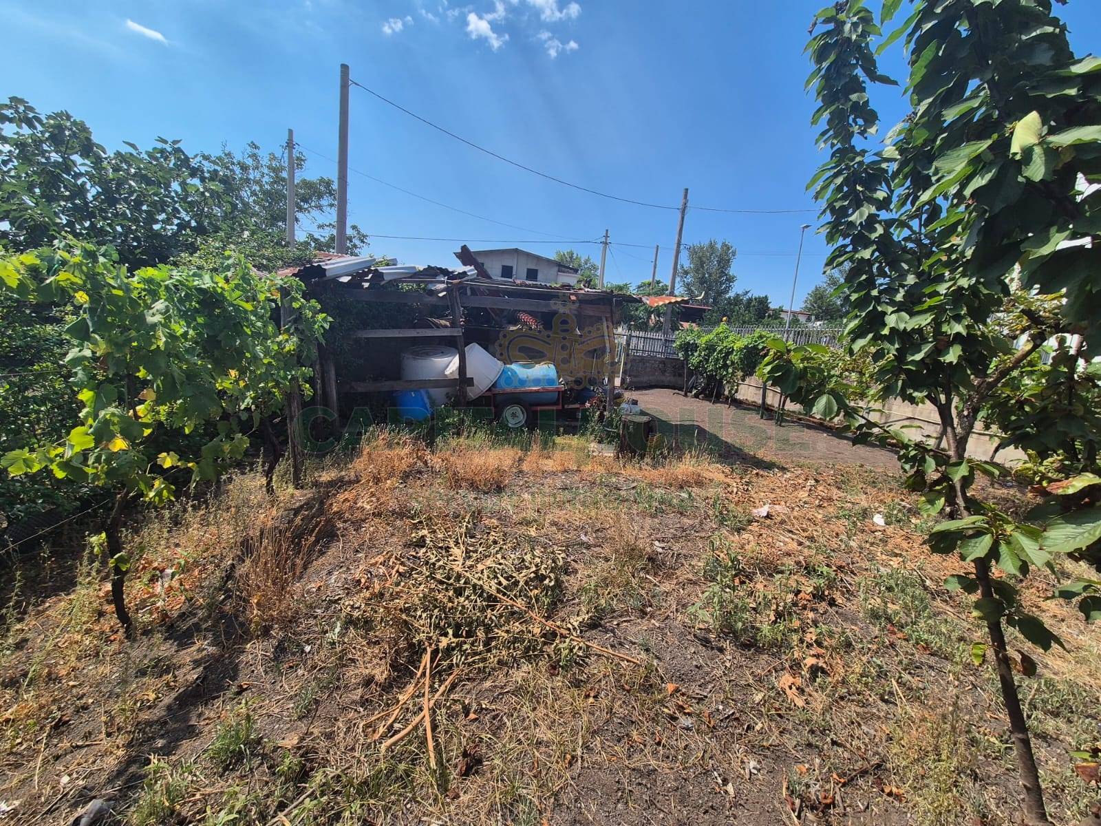 Terreno agricolo in vendita a Ottaviano