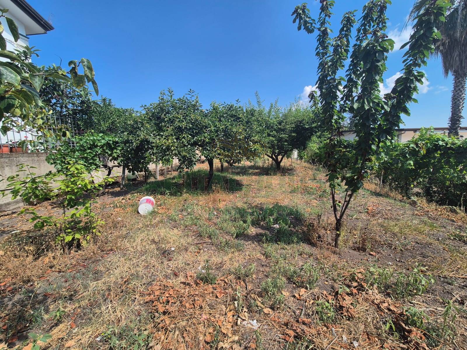 Terreno agricolo in vendita a Ottaviano