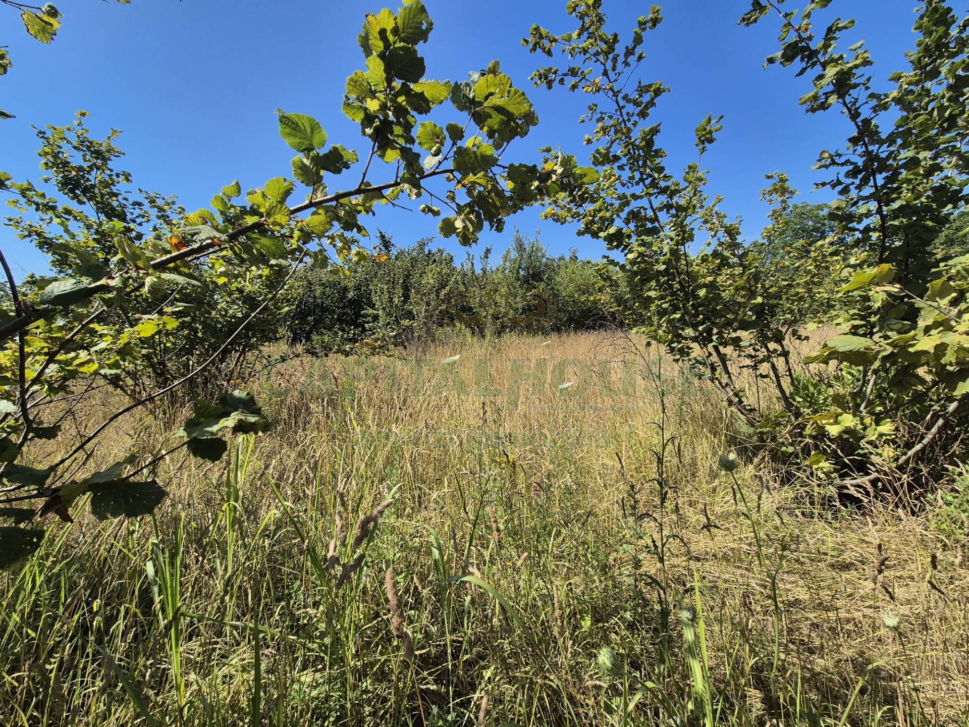 Terreno agricolo in vendita a Striano
