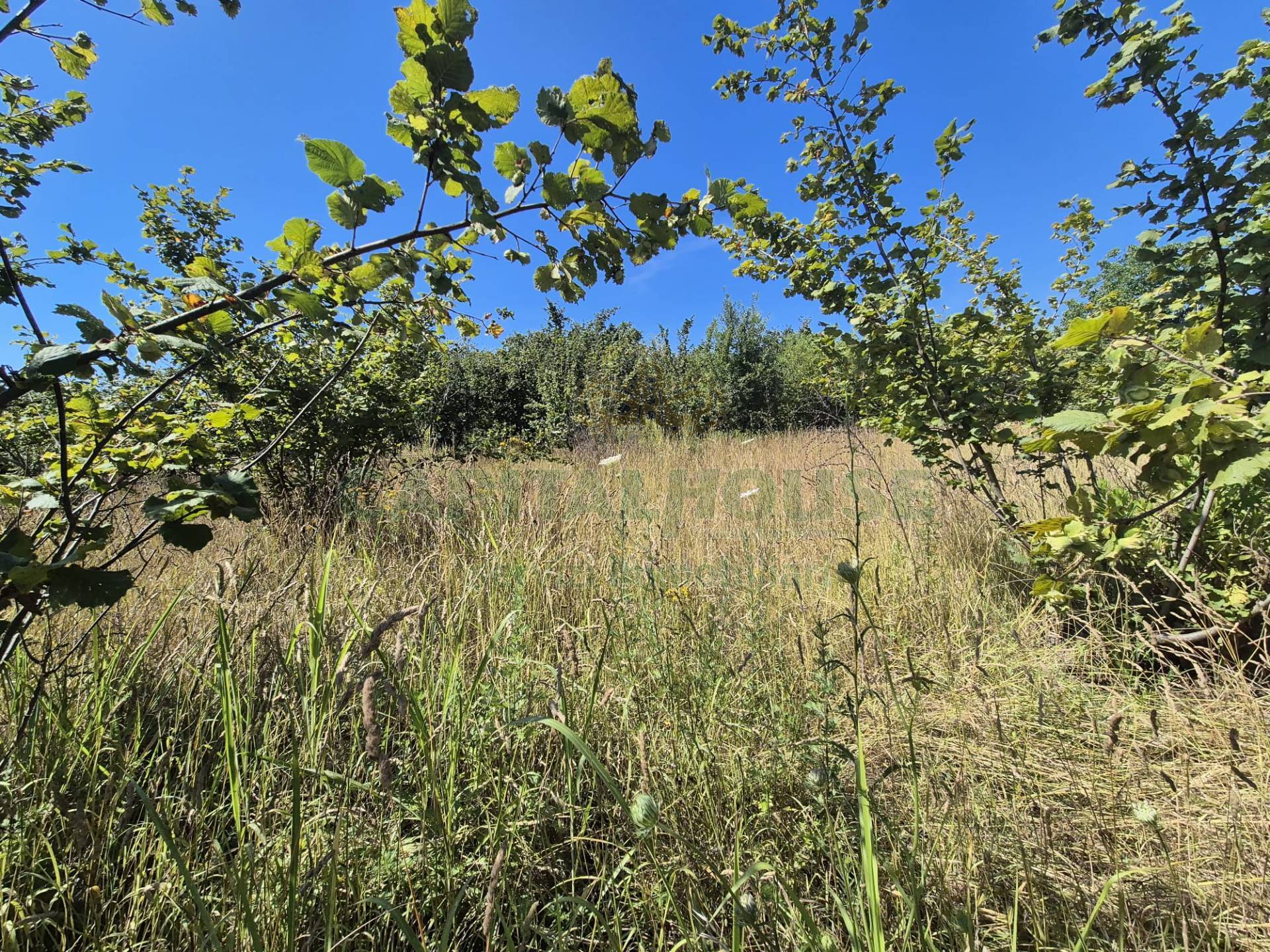 Terreno agricolo in vendita a Striano