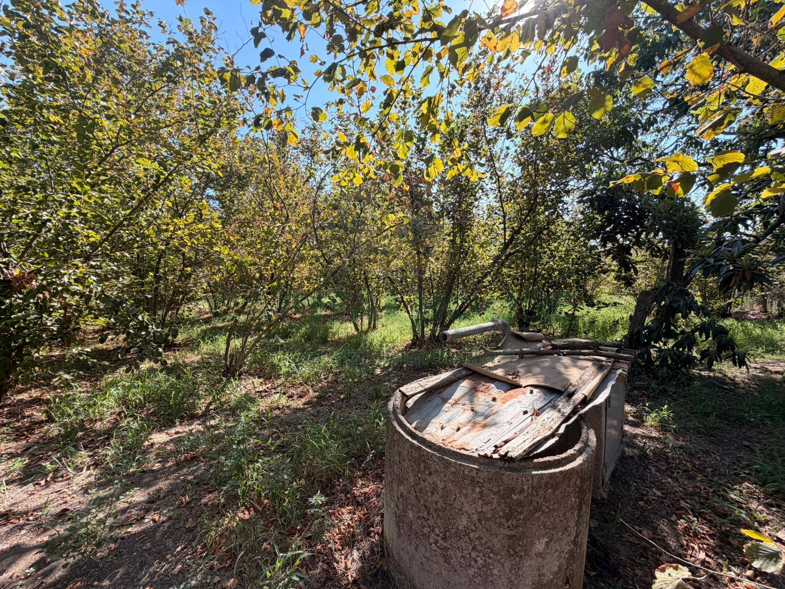 Terreno agricolo in vendita a San Gennaro Vesuviano