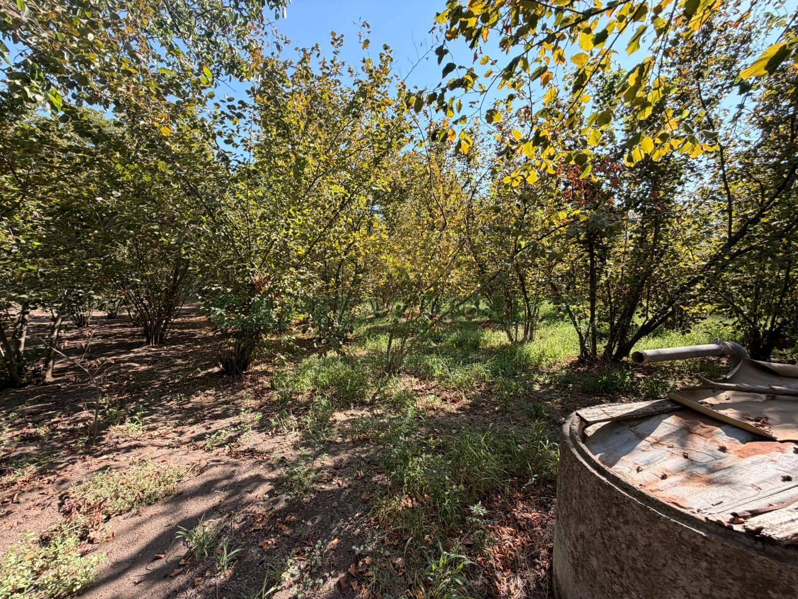 Terreno agricolo in vendita a San Gennaro Vesuviano