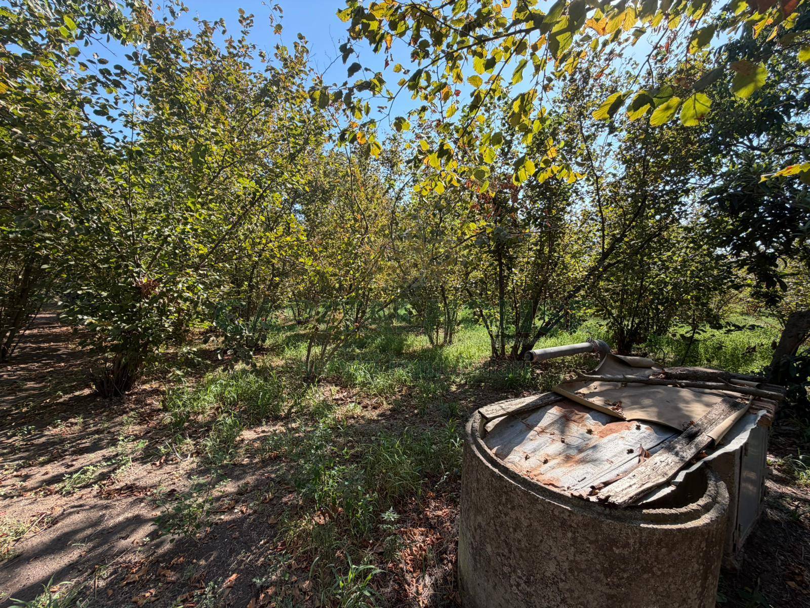 Terreno agricolo in vendita a San Gennaro Vesuviano