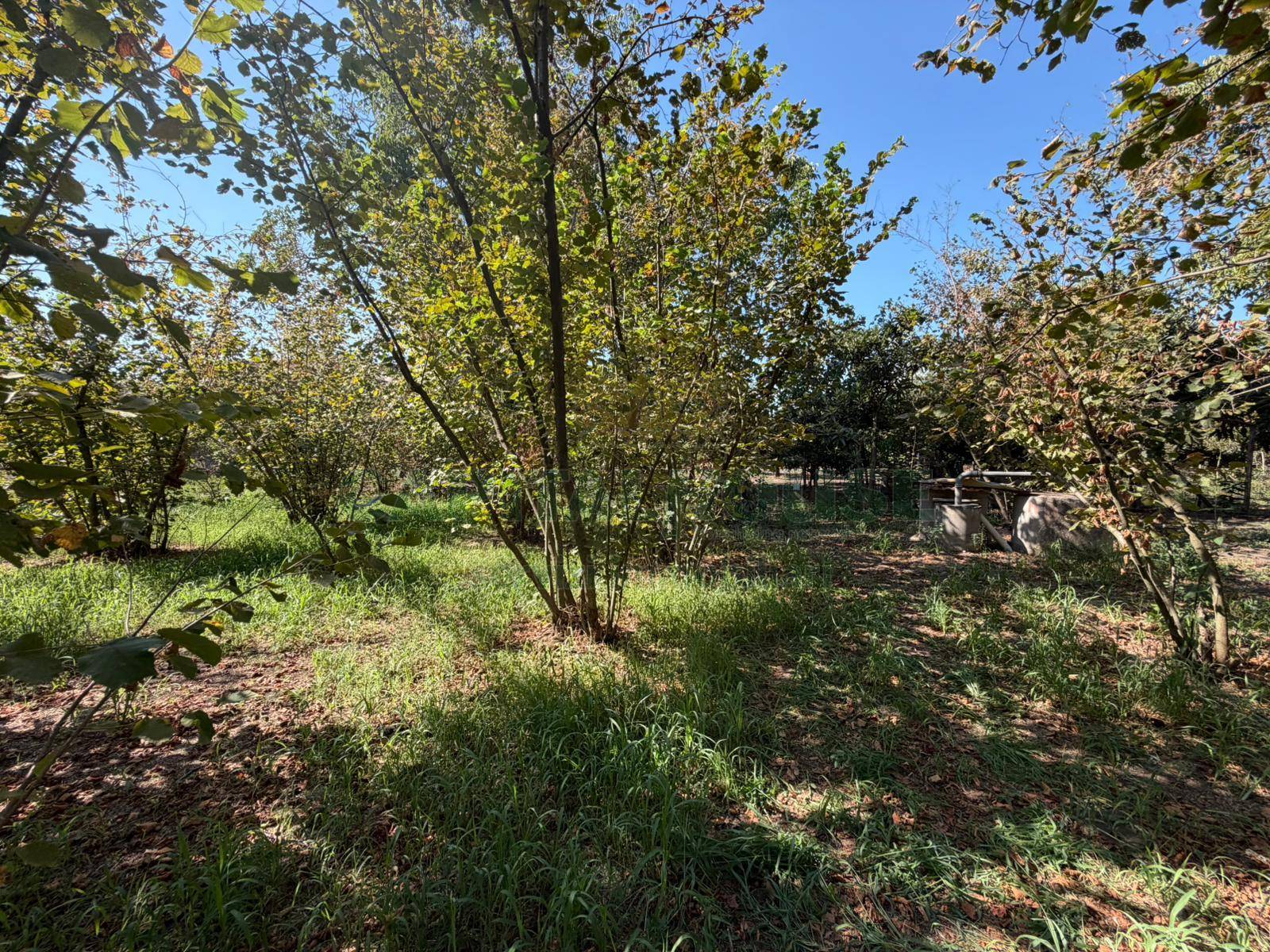 Terreno agricolo in vendita a San Gennaro Vesuviano