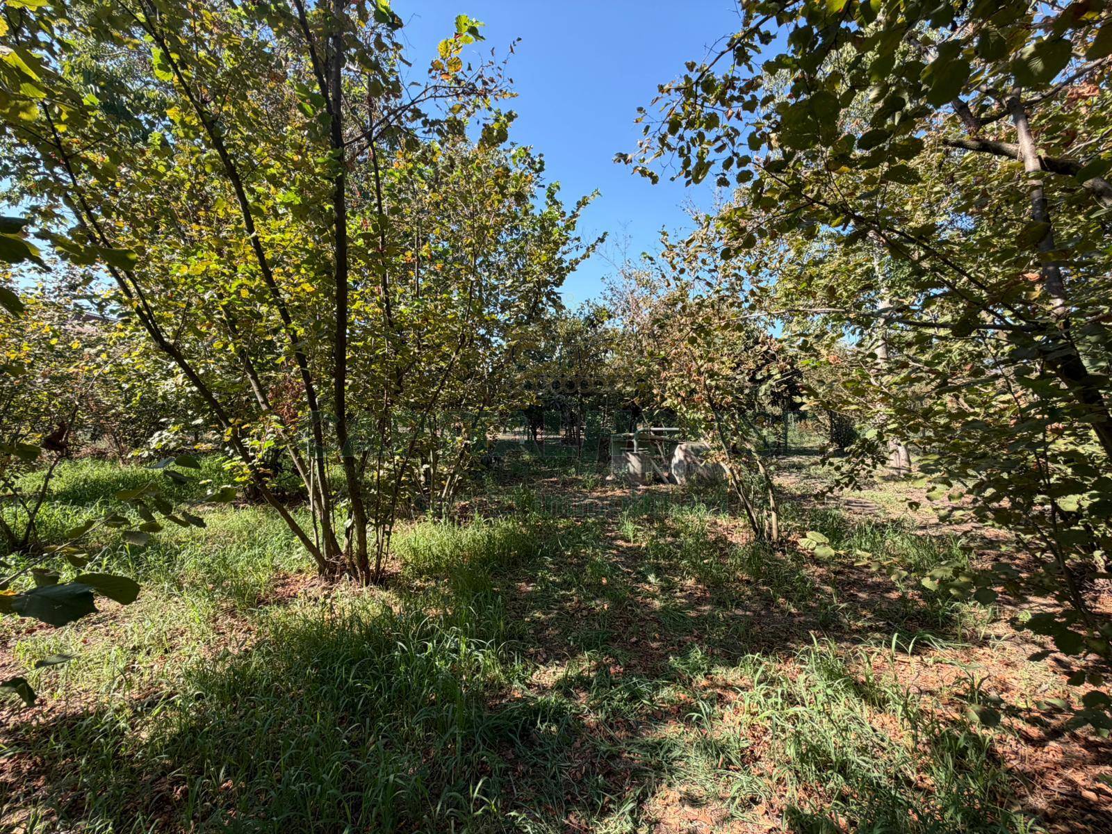 Terreno agricolo in vendita a San Gennaro Vesuviano
