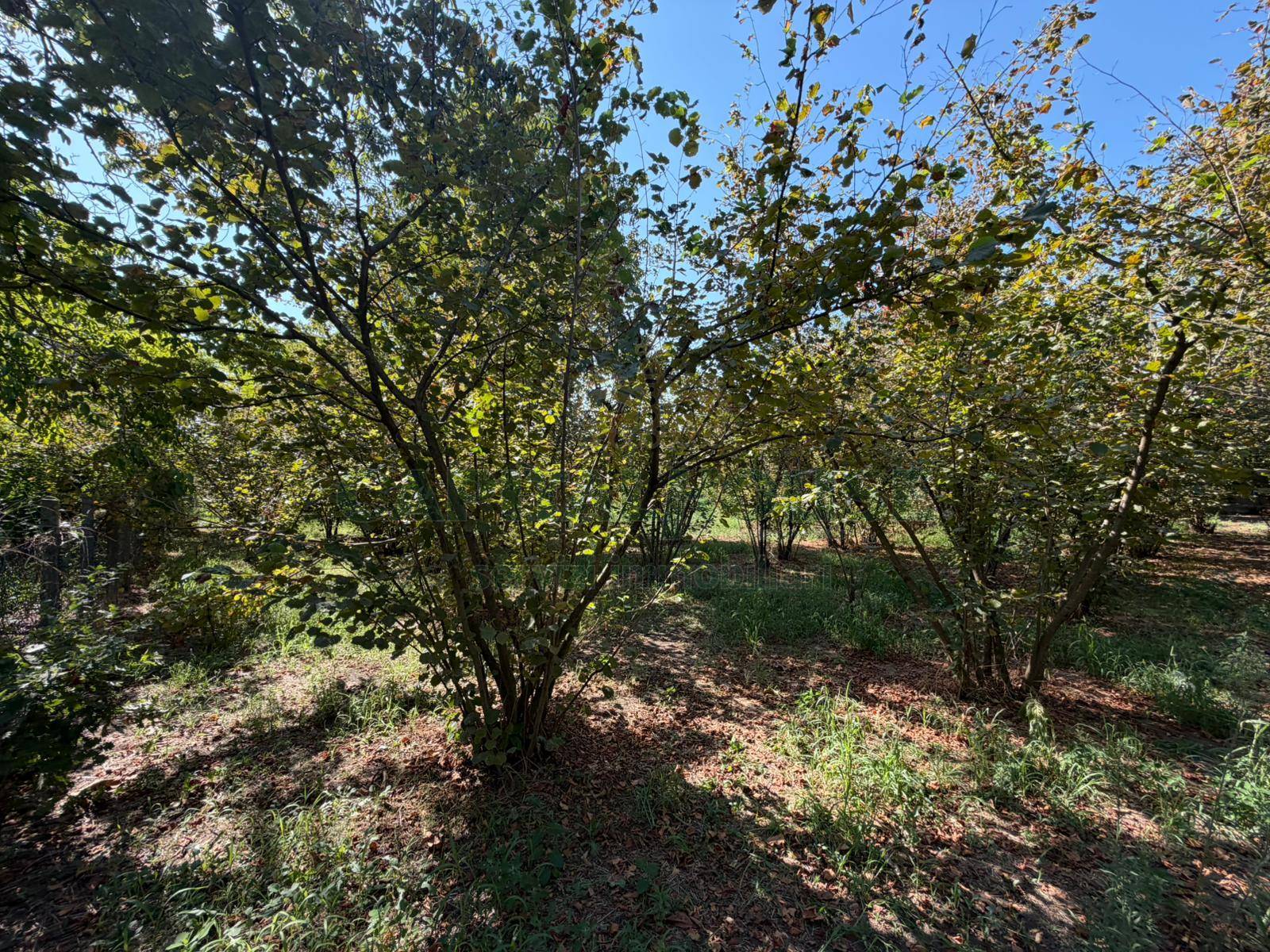 Terreno agricolo in vendita a San Gennaro Vesuviano