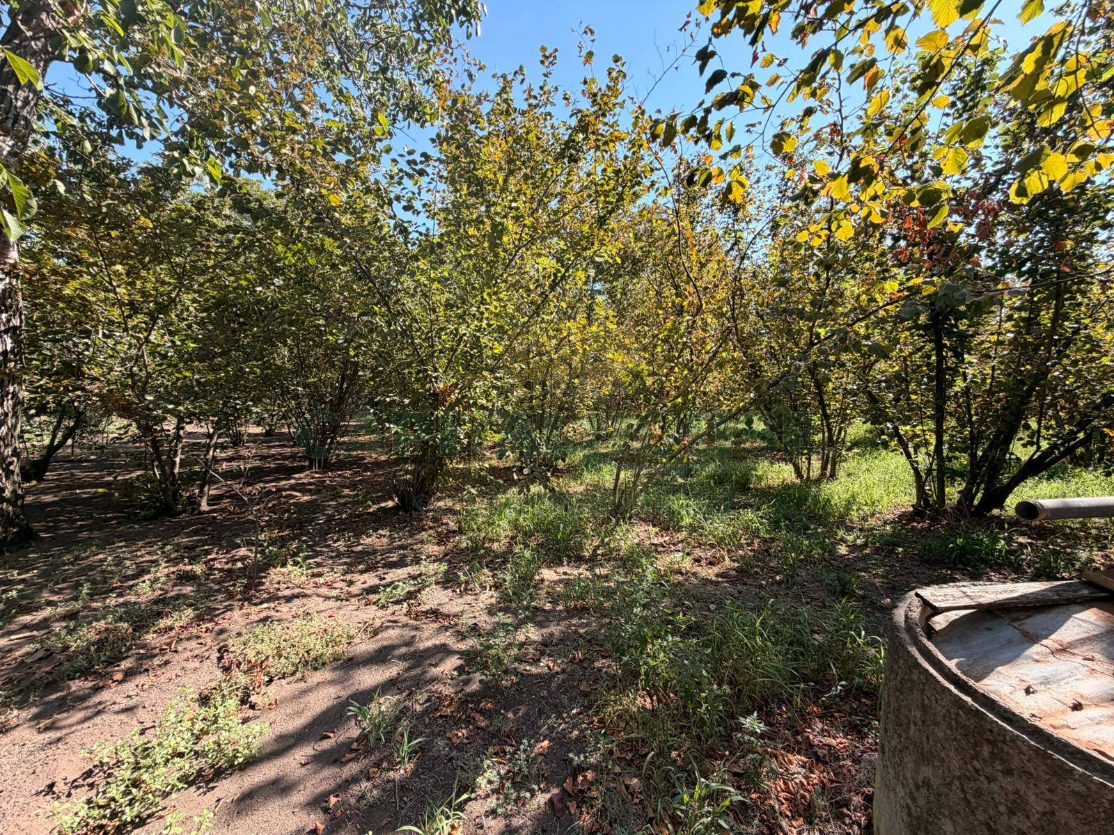 Terreno agricolo in vendita a San Gennaro Vesuviano