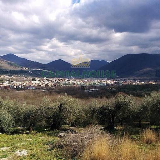 Terreno in vendita a Sirignano