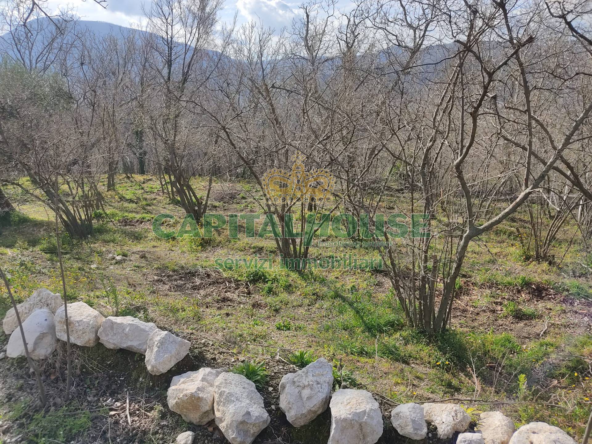 Terreno agr. terrazzato in vendita a Sirignano