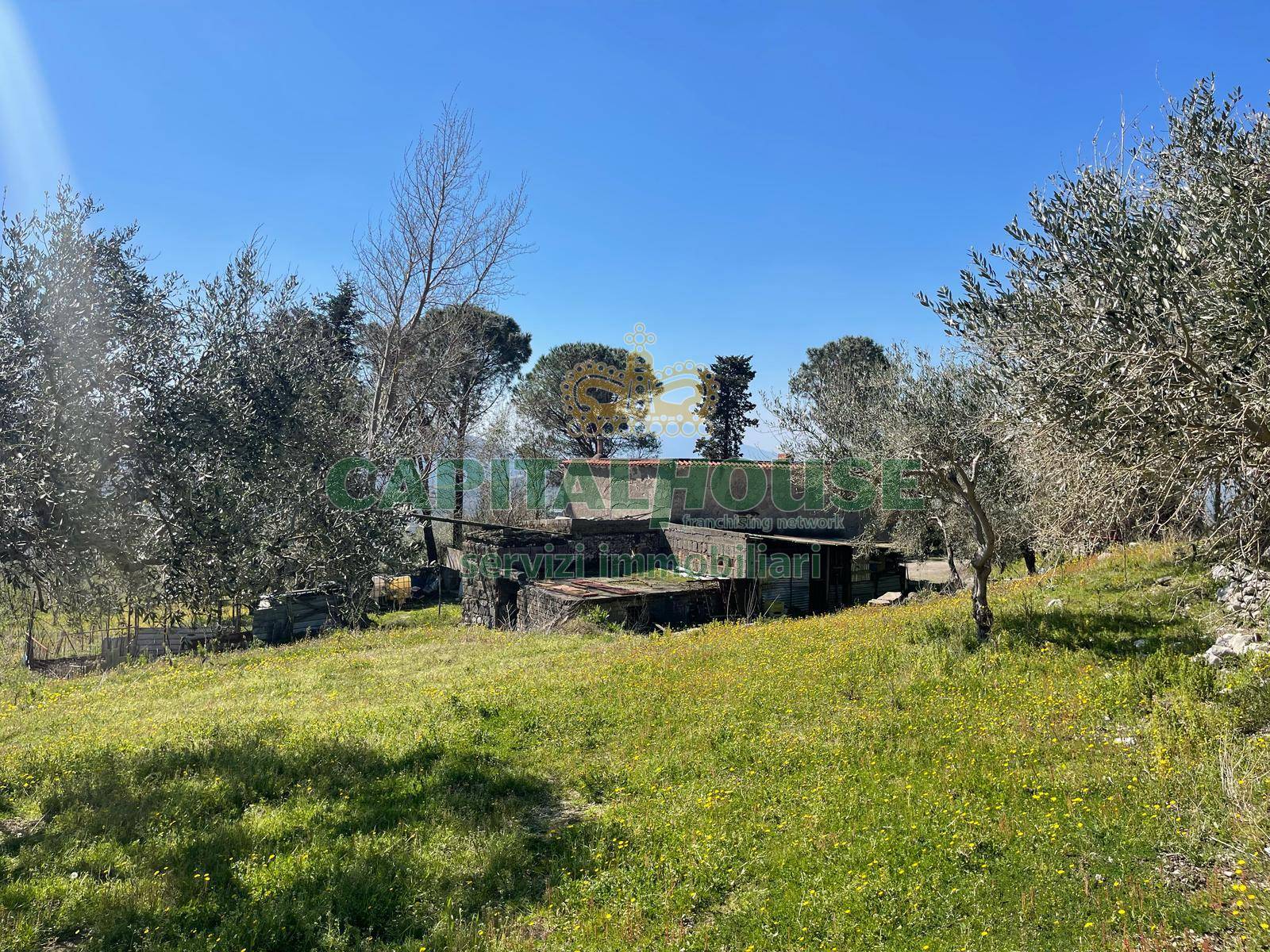 immagine annuncio 4 di 6
