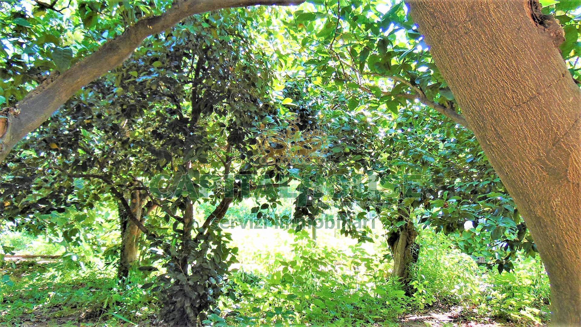 Terreno edificabile in vendita a Baiano