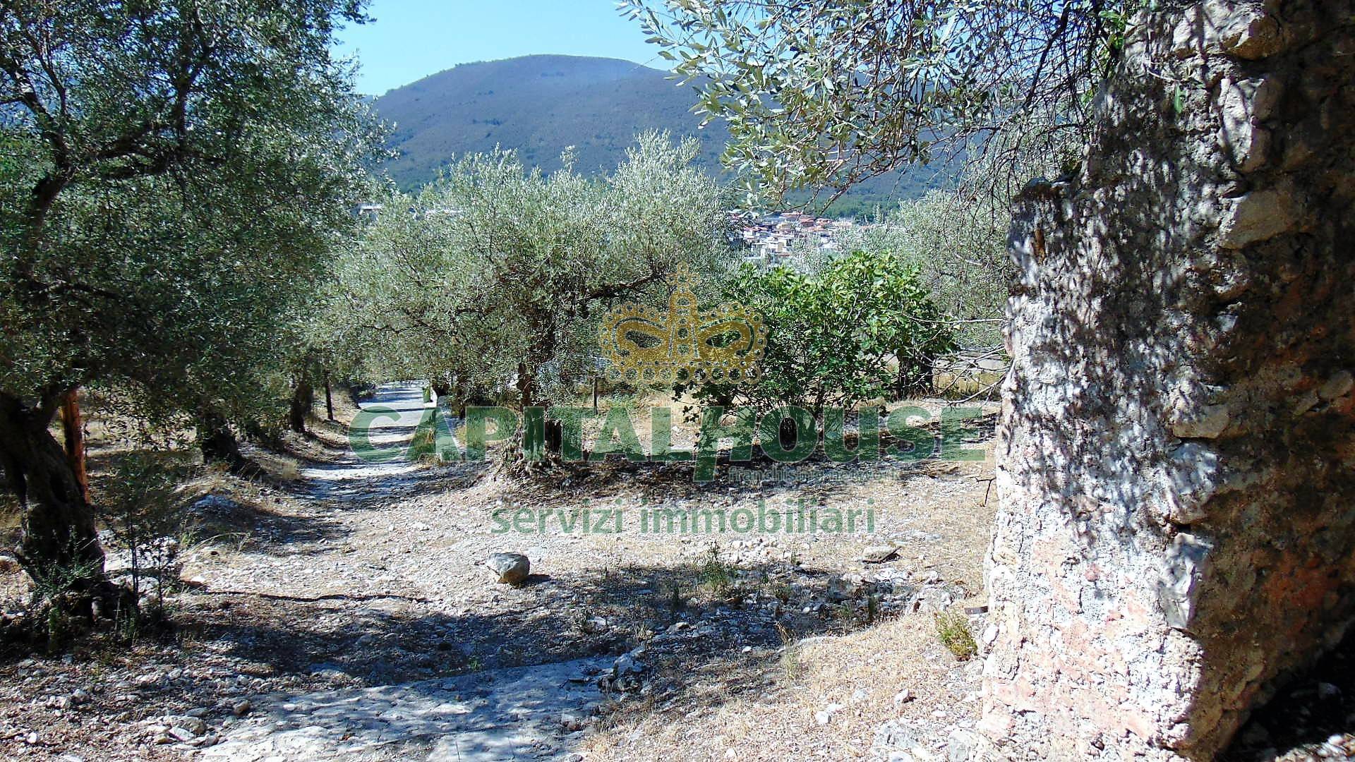 Terreno agr. terrazzato in vendita a Baiano
