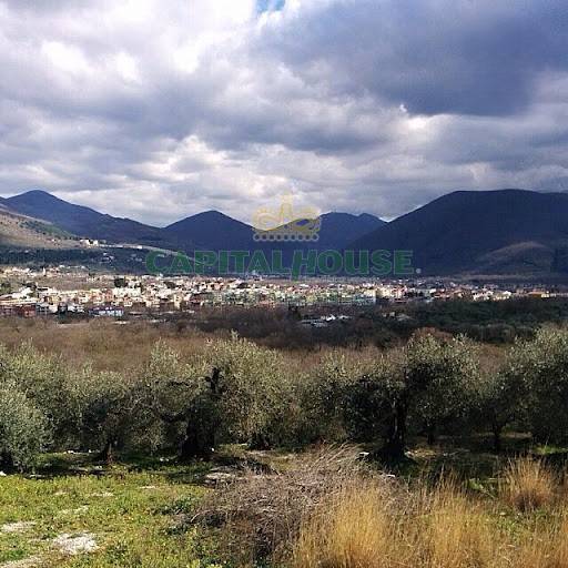 Terreno agricolo in vendita a Sirignano