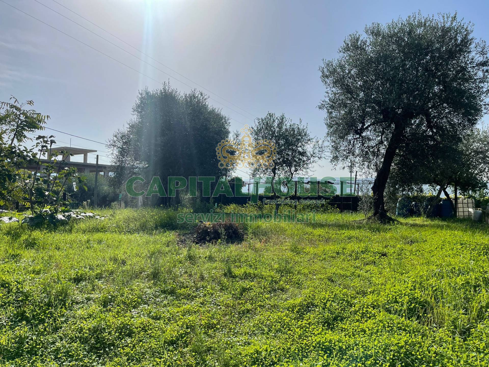 immagine annuncio 2 di 6