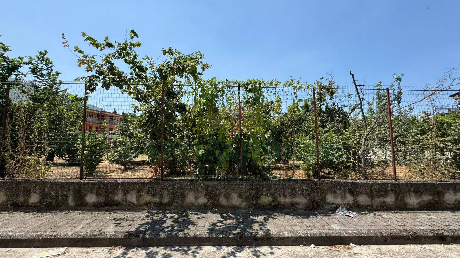 Terreno edificabile in vendita a Mugnano del Cardinale
