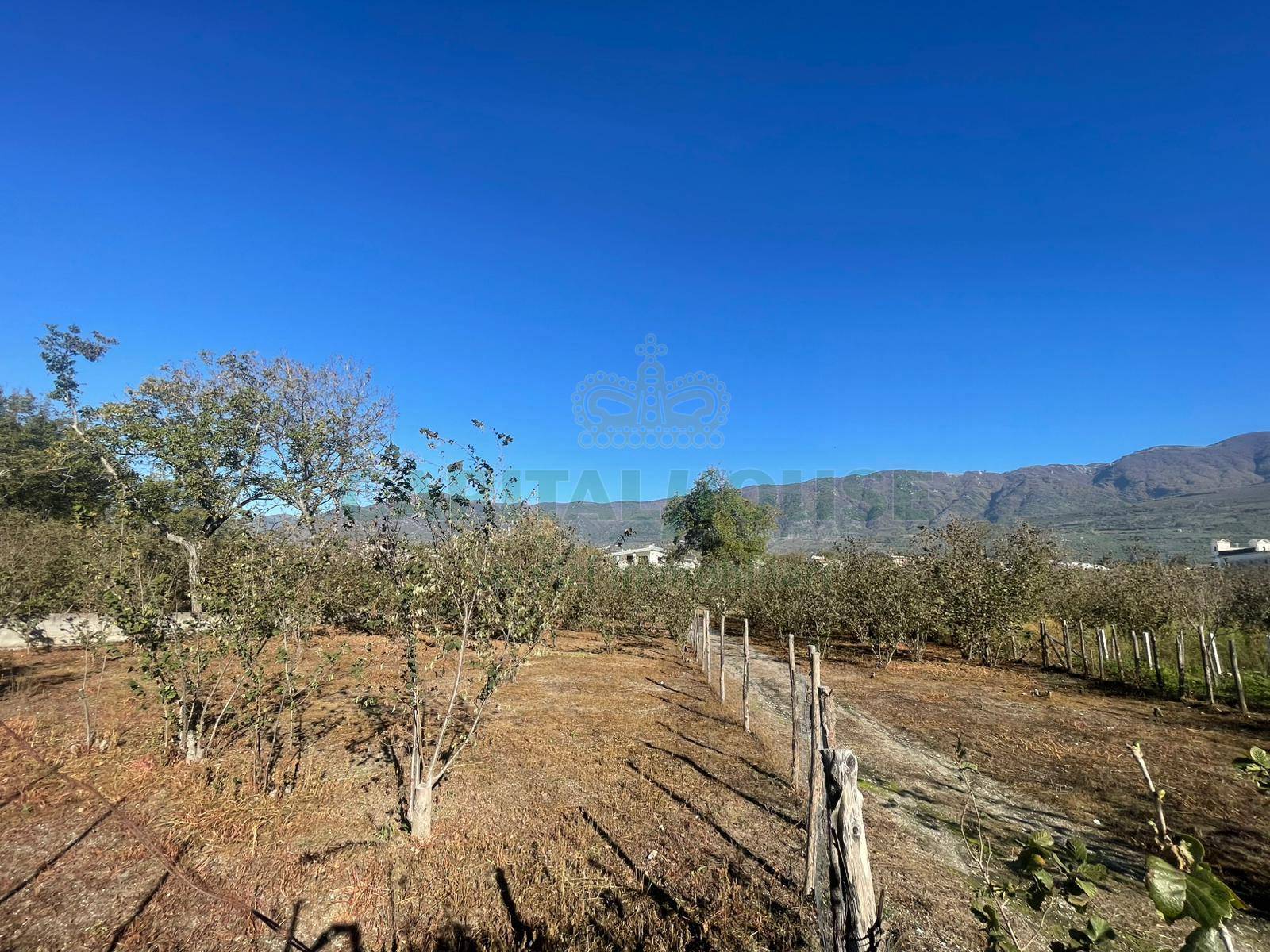 Terreno agricolo in vendita a Sperone