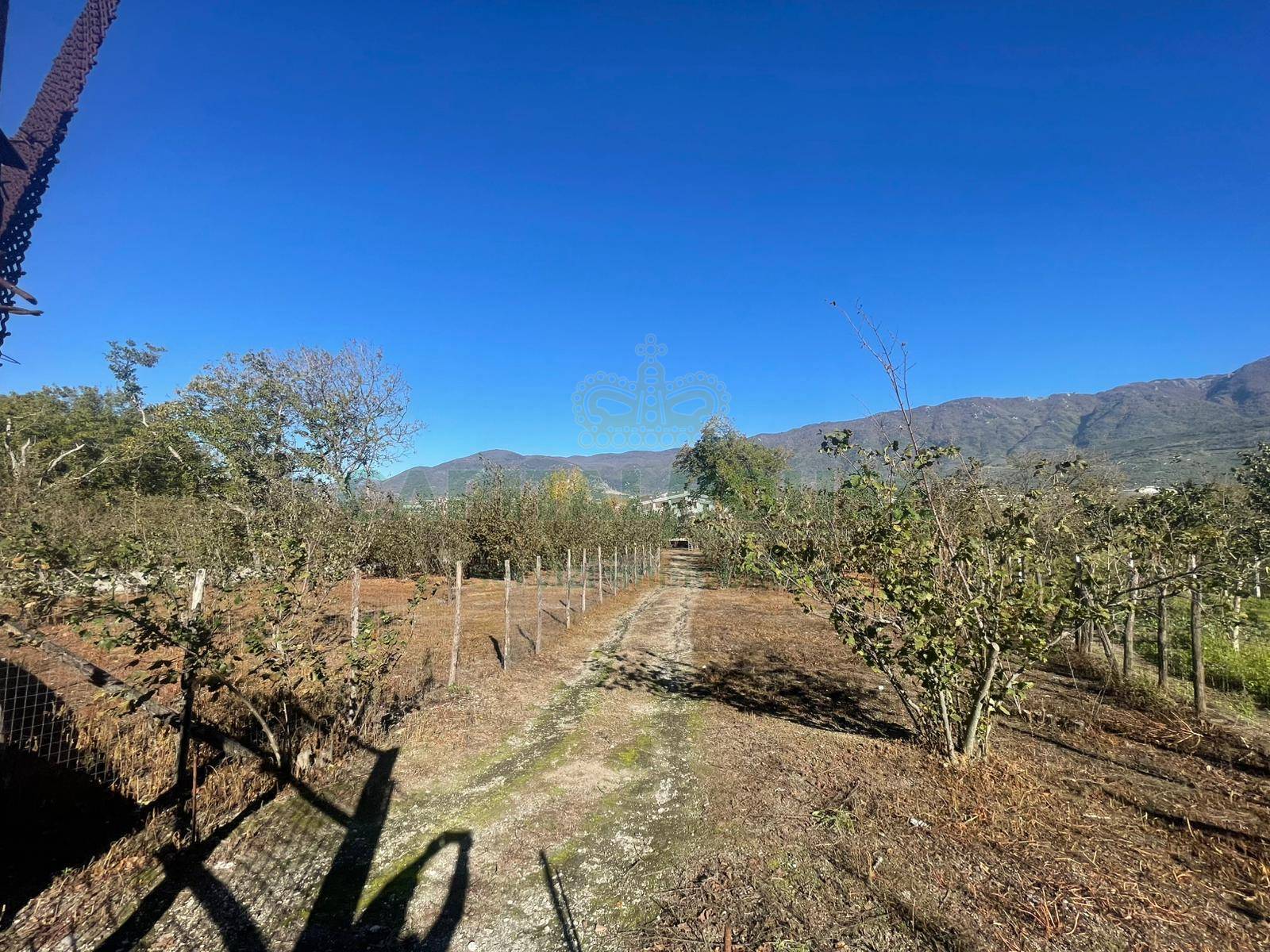 Terreno agricolo in vendita a Sperone