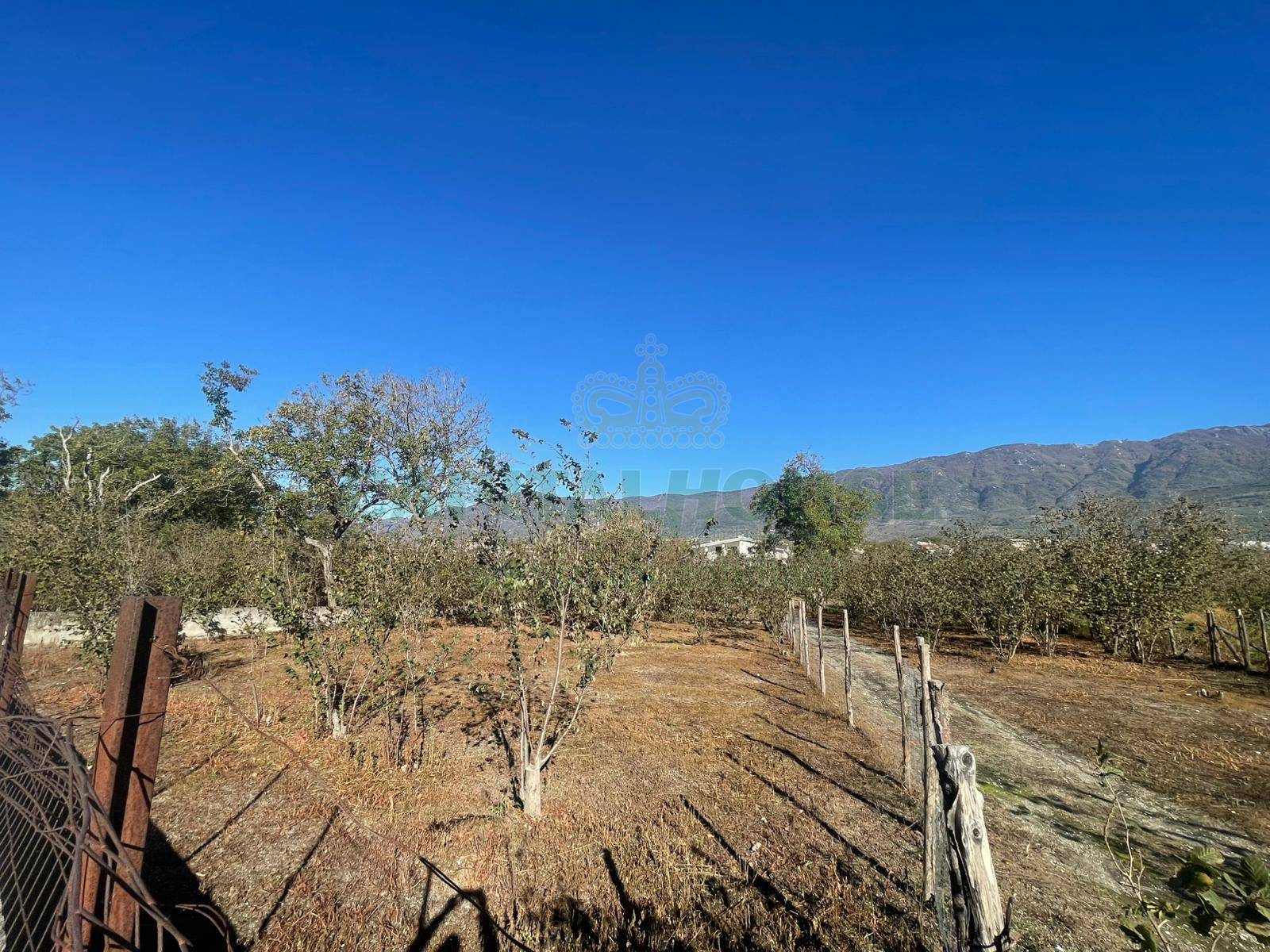 Terreno agricolo in vendita a Sperone