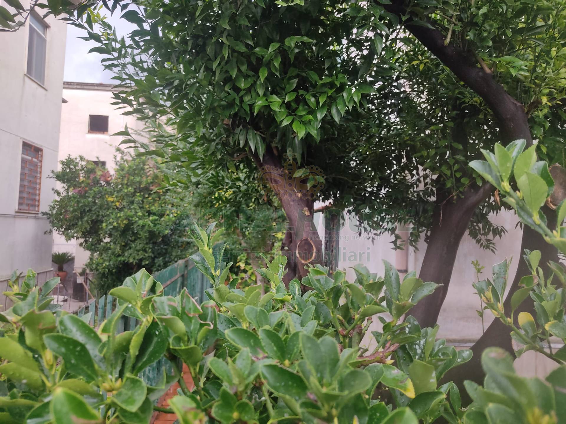 Villa in vendita a Sirignano