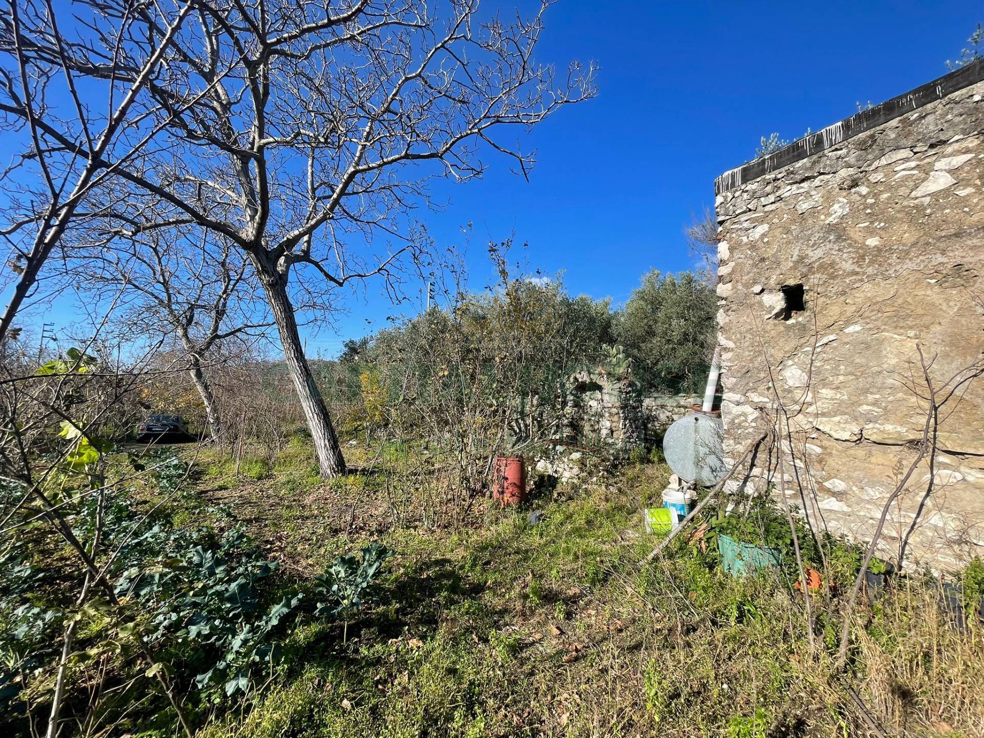 Terreno agricolo - Rudere in vendita a Avella
