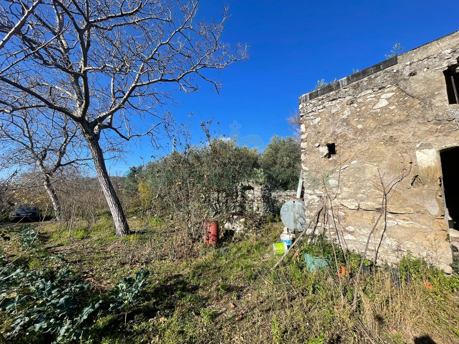 Terreno agricolo - Rudere in vendita a Avella