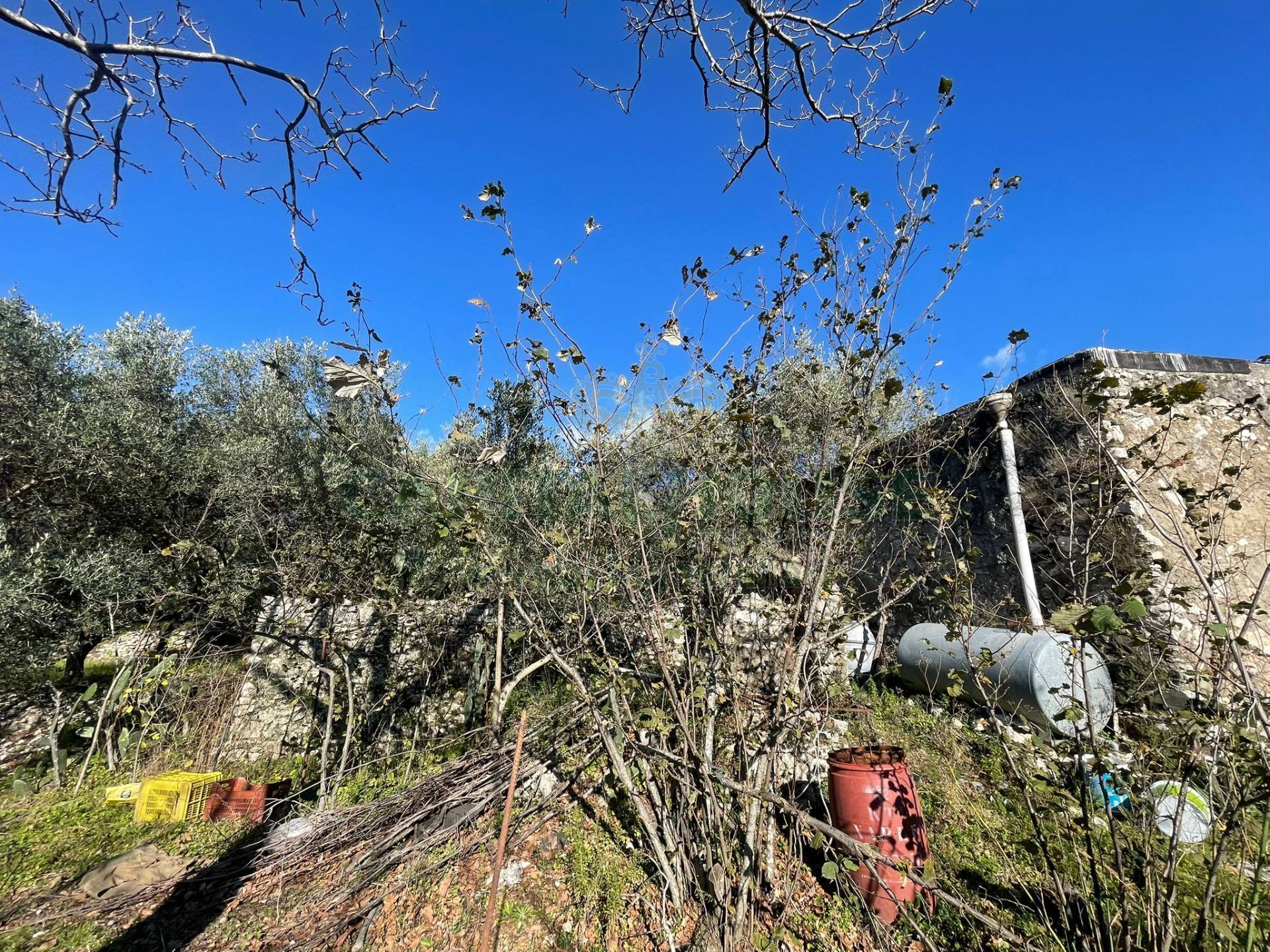 Terreno agricolo - Rudere in vendita a Avella
