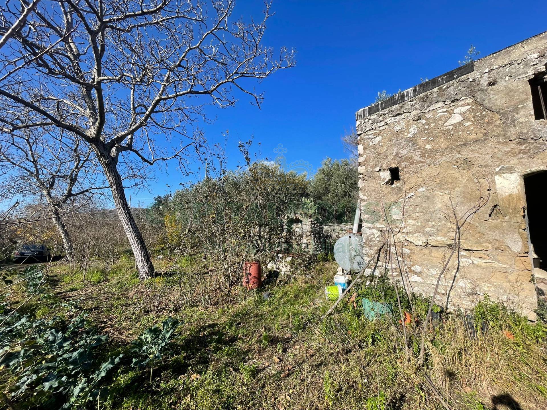 Terreno agricolo - Rudere in vendita a Avella