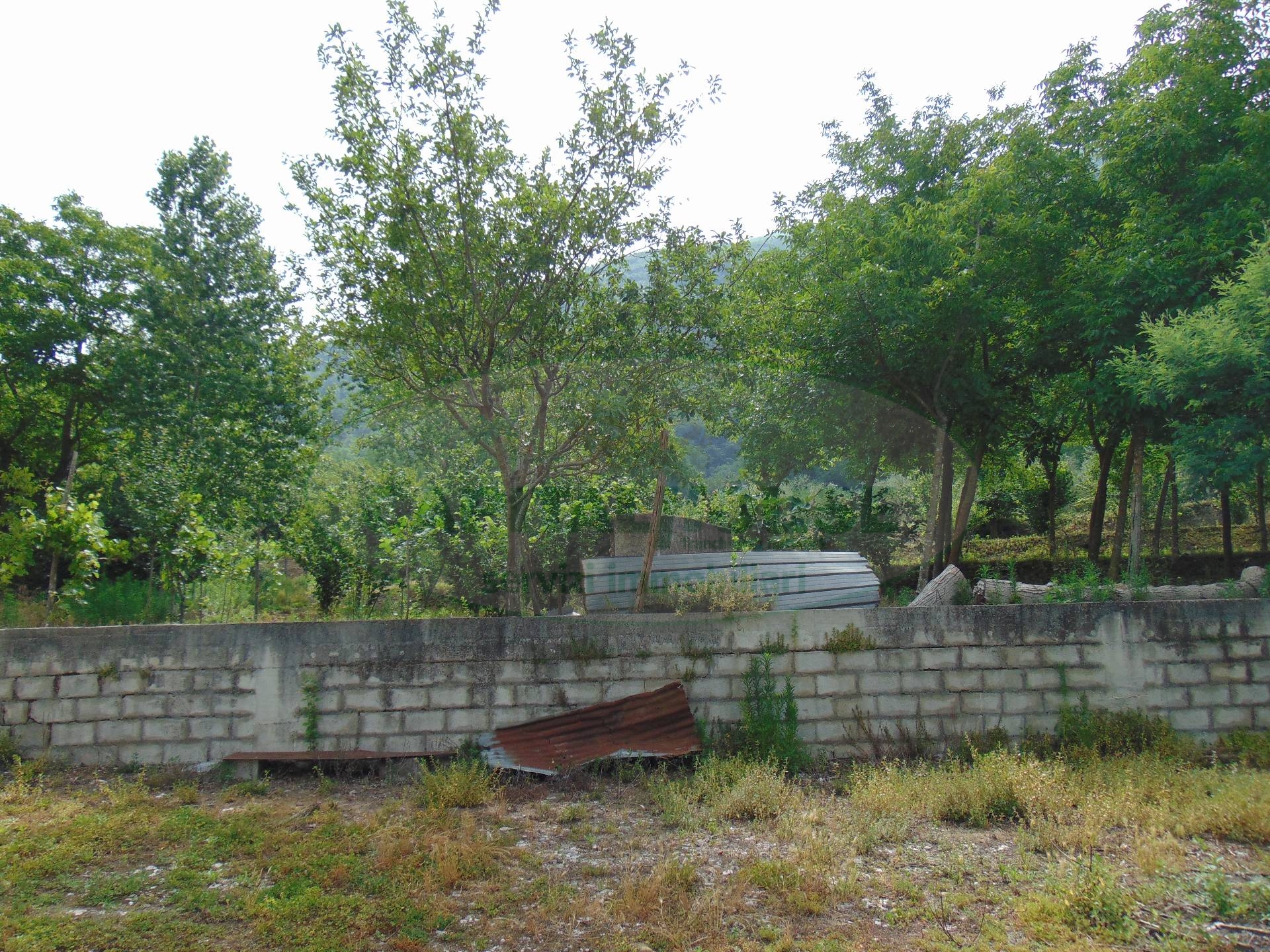 Terreno agricolo in vendita a Mugnano del Cardinale