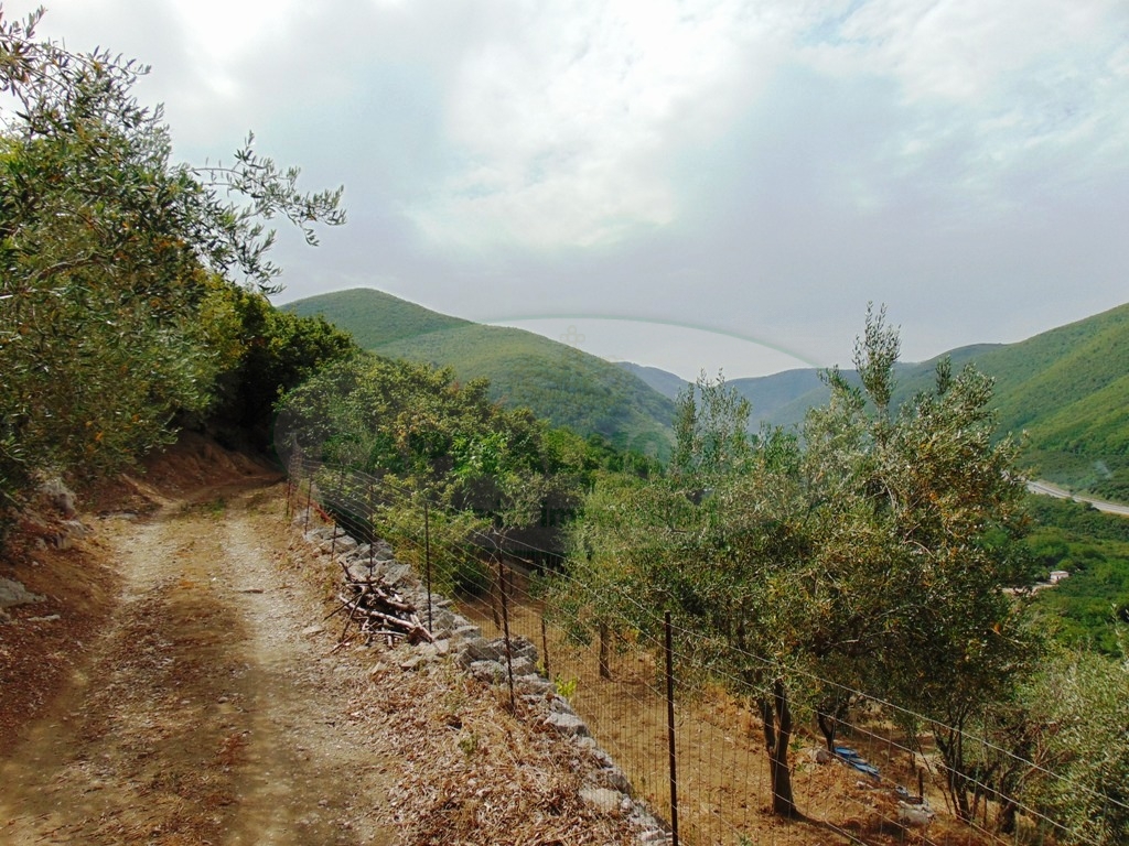 Terreno agricolo in vendita a Mugnano del Cardinale