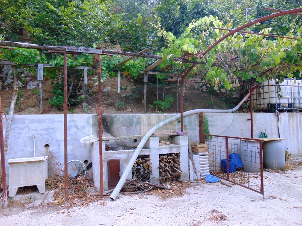 Terreno agricolo in vendita a Mugnano del Cardinale
