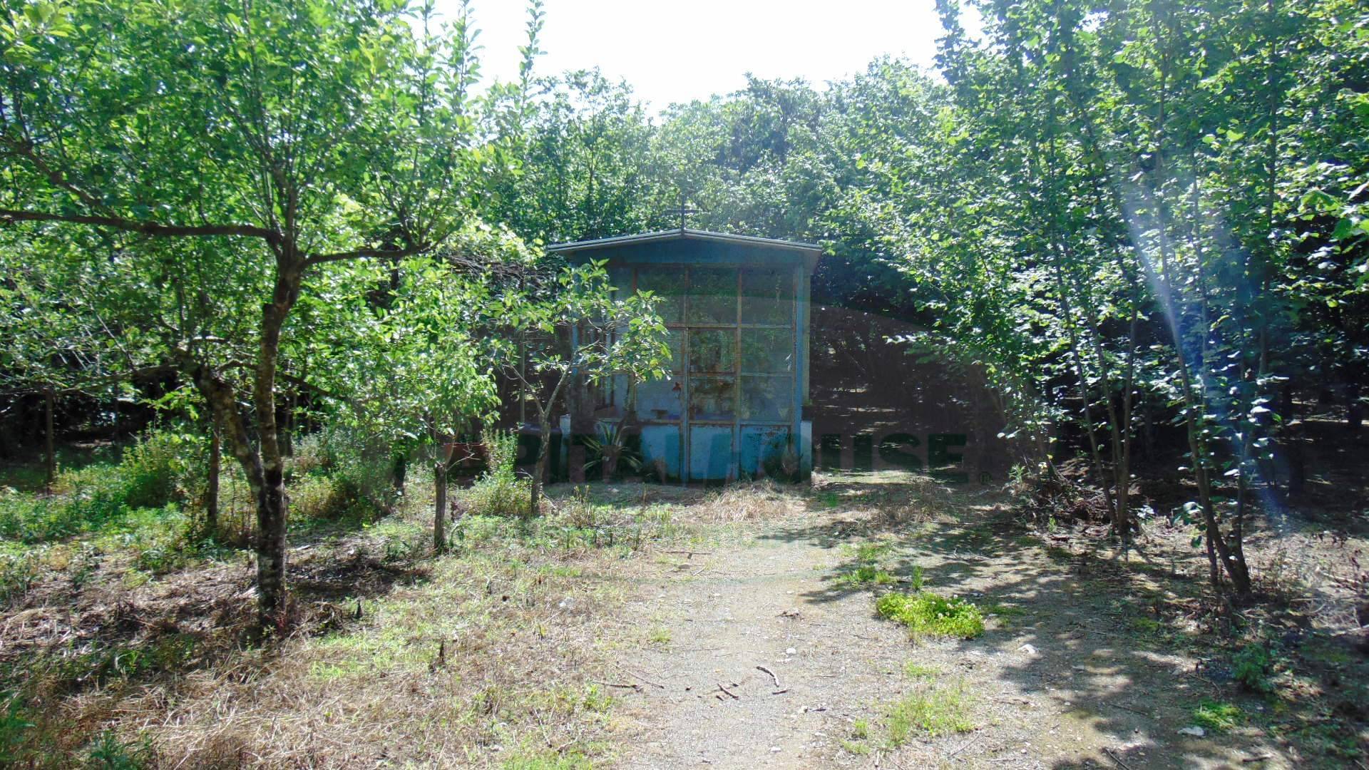 Terreno agricolo in vendita a Baiano