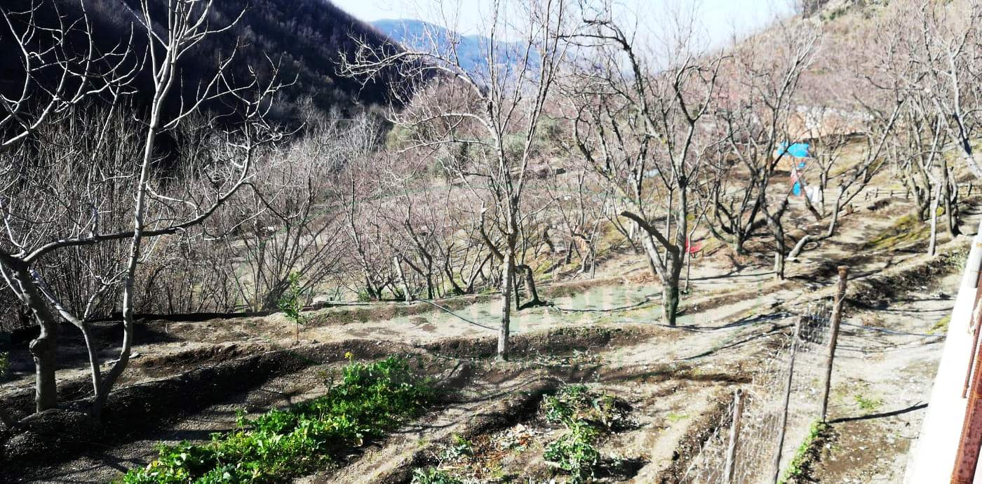 Terreno agricolo in vendita a Quadrelle