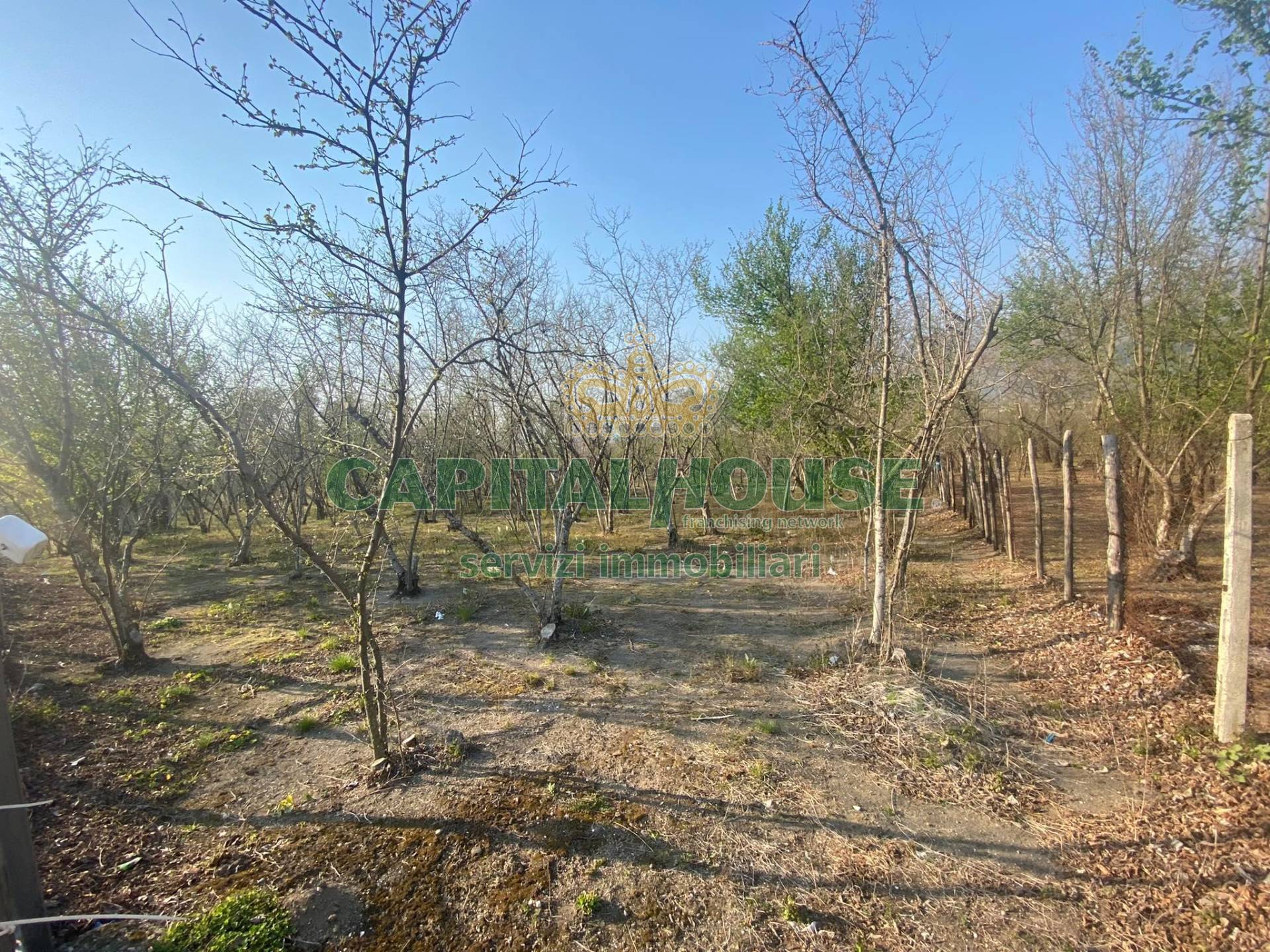 Terreno agricolo in vendita a Mugnano del Cardinale