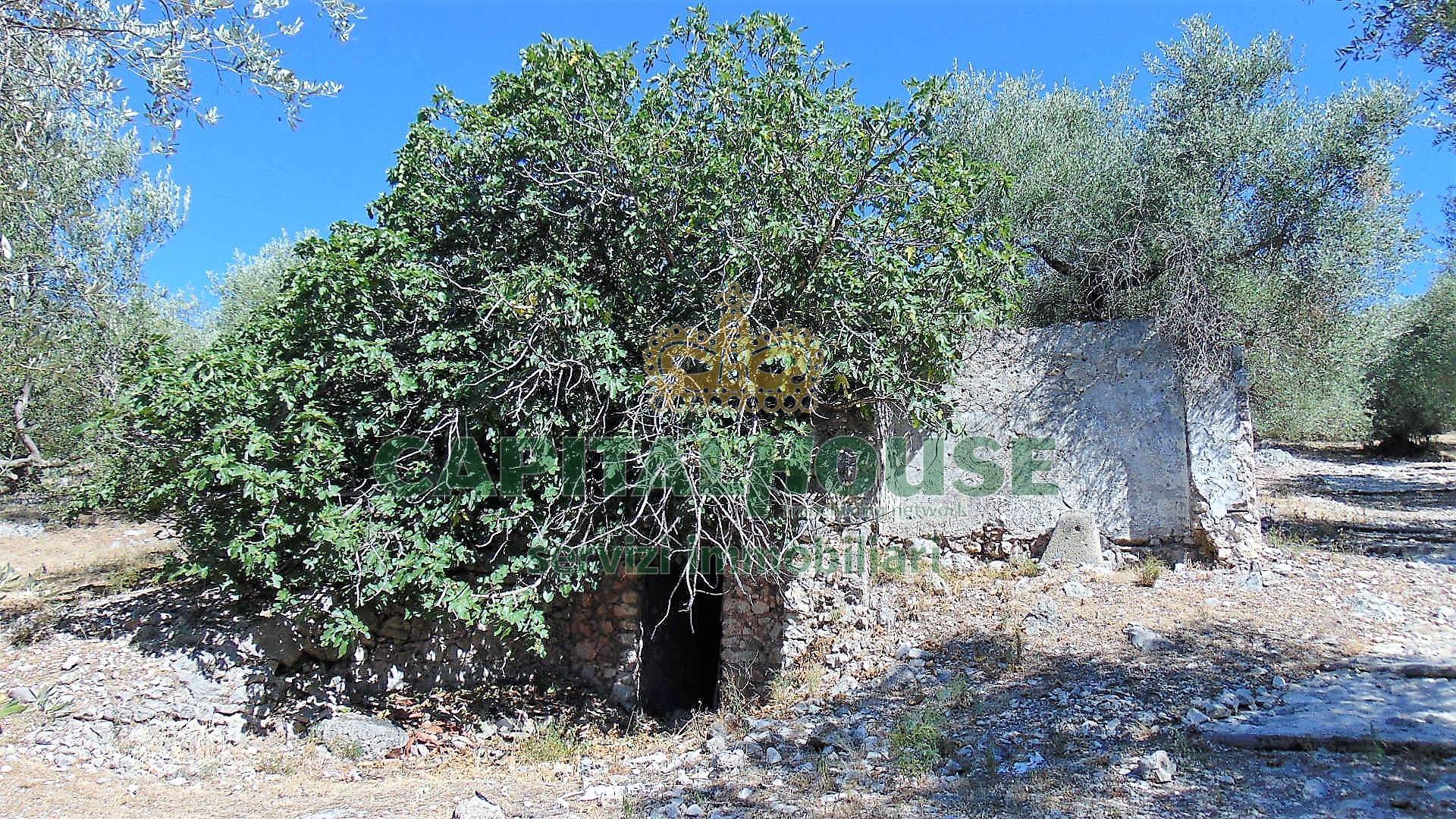 Terreno agr. terrazzato in vendita a Baiano